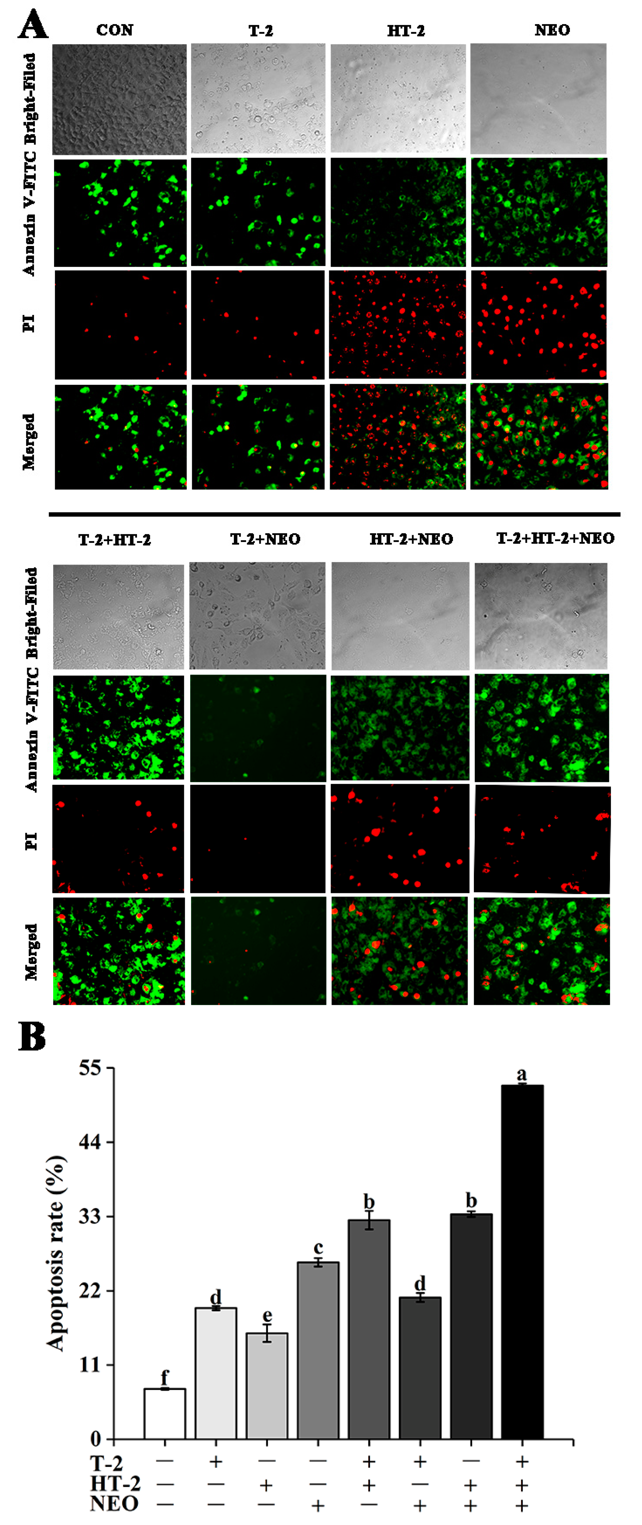 Toxins 14 00145 g003 Toxins 14 00145 g003