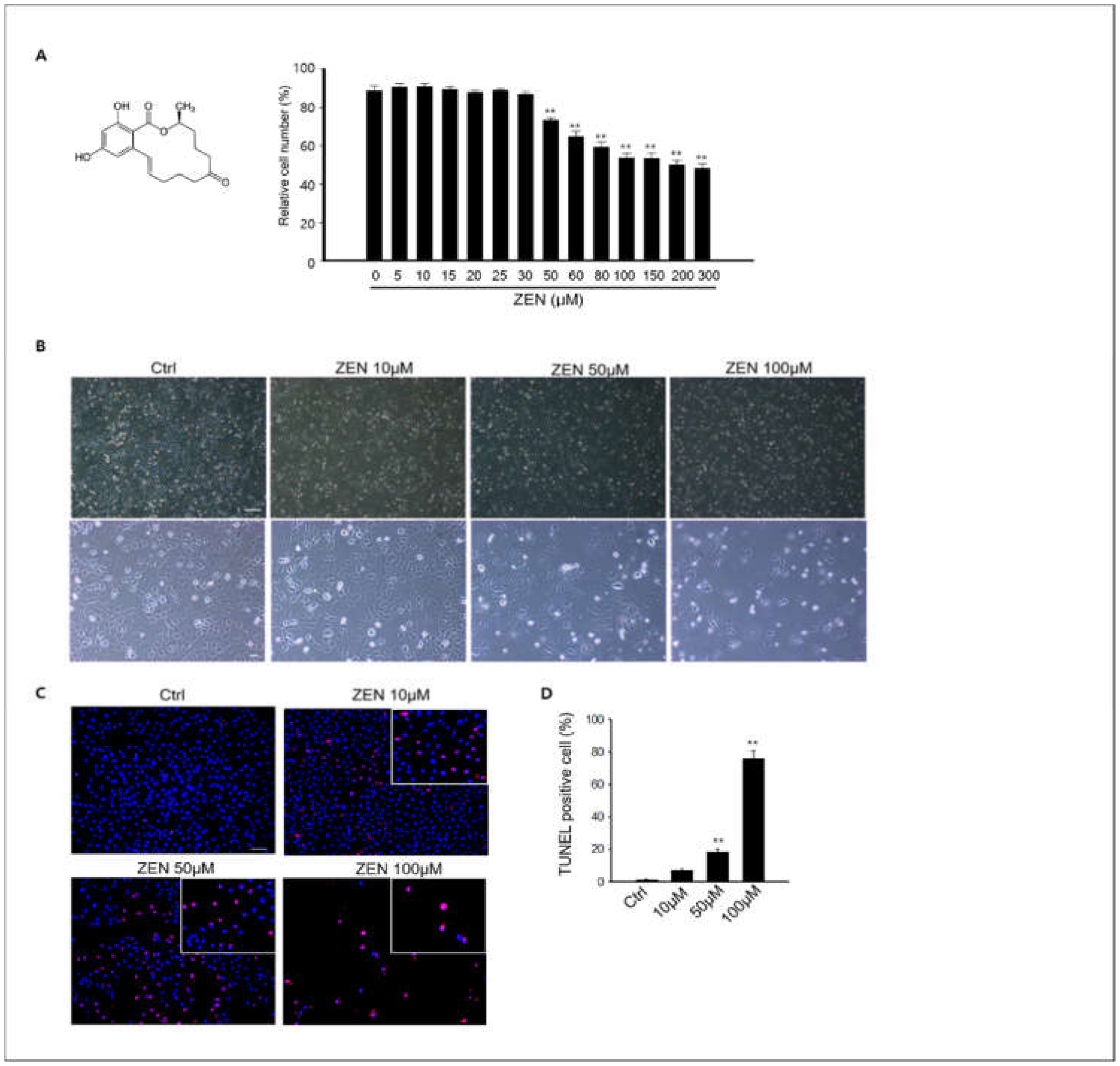 Toxins 14 00148 g001 Toxins 14 00148 g001