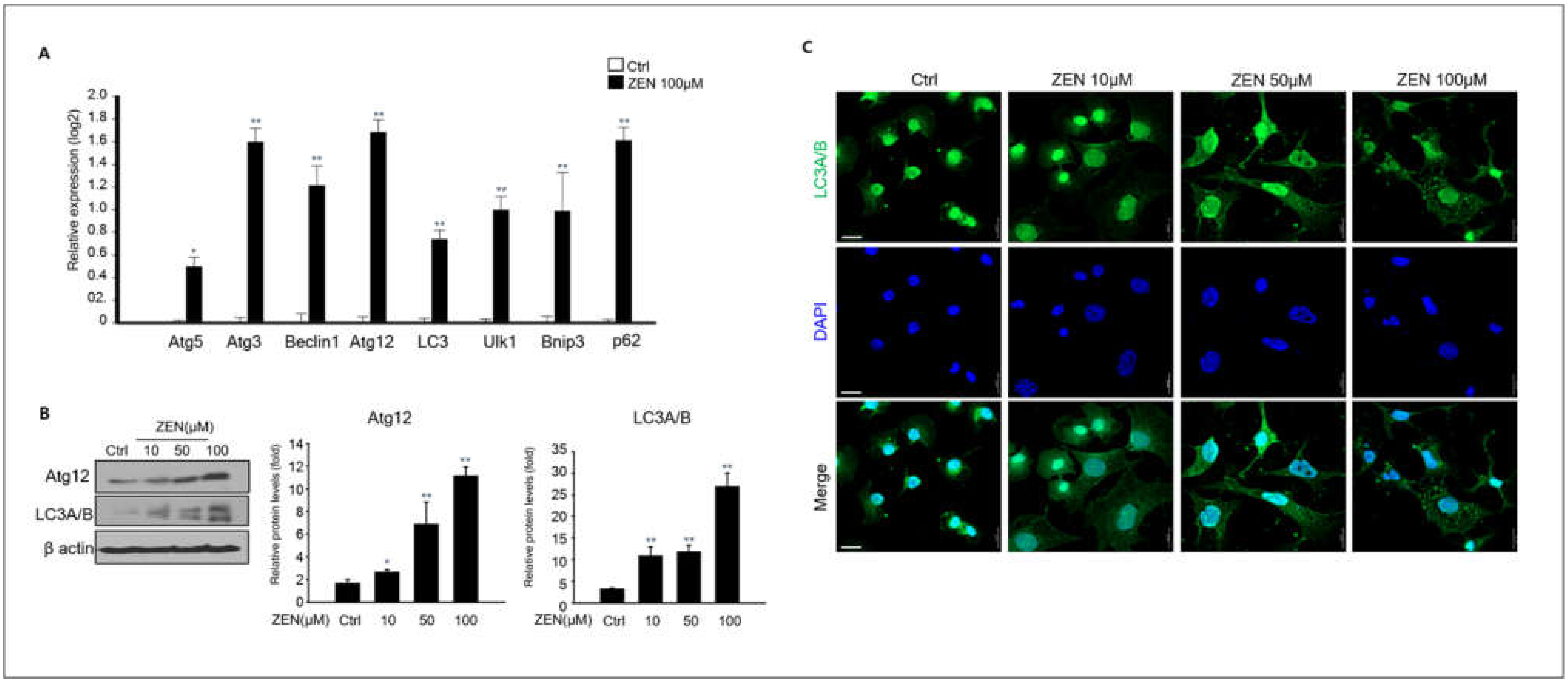 Toxins 14 00148 g004 Toxins 14 00148 g004