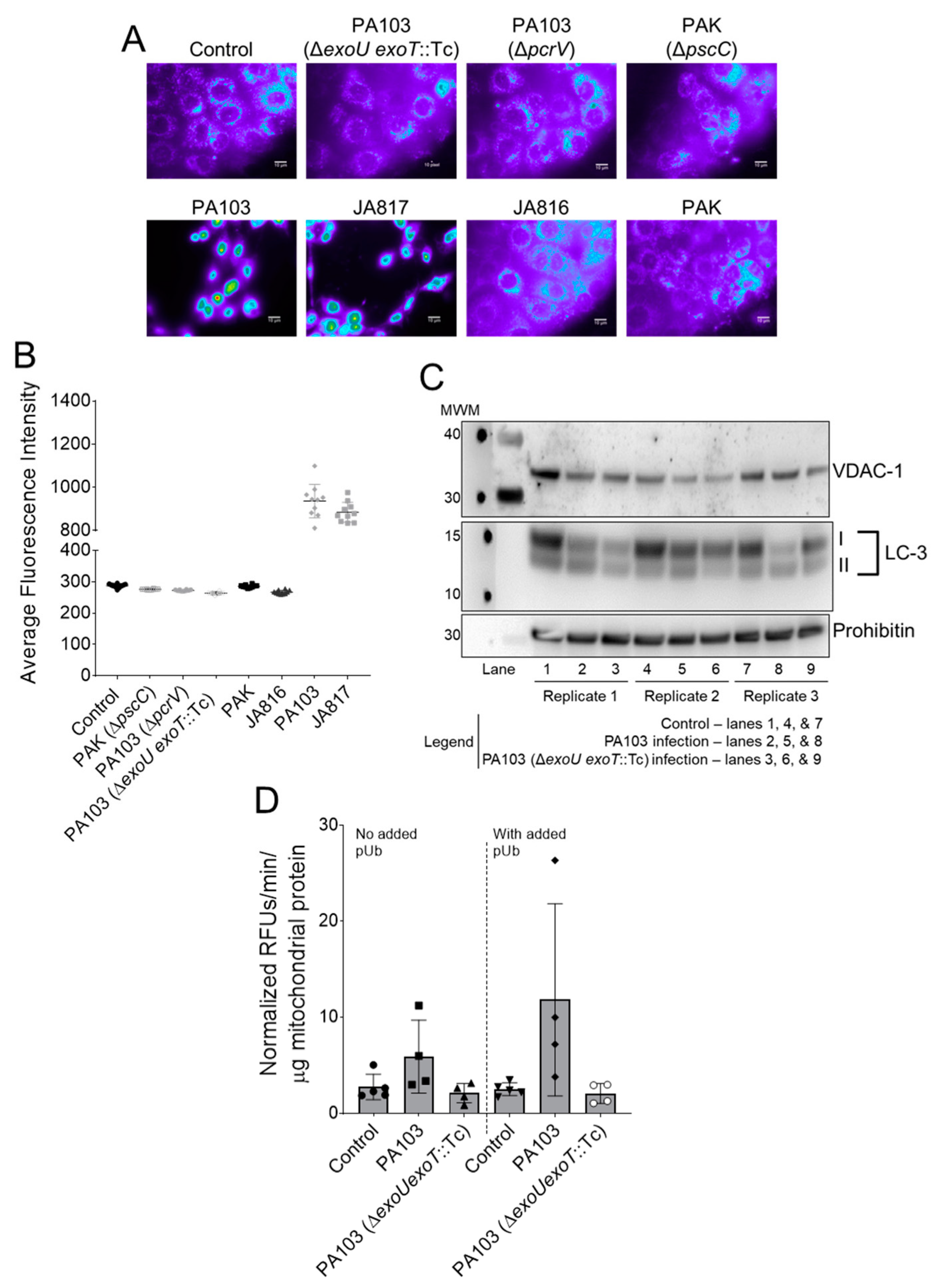 Toxins 14 00152 g003 Toxins 14 00152 g003