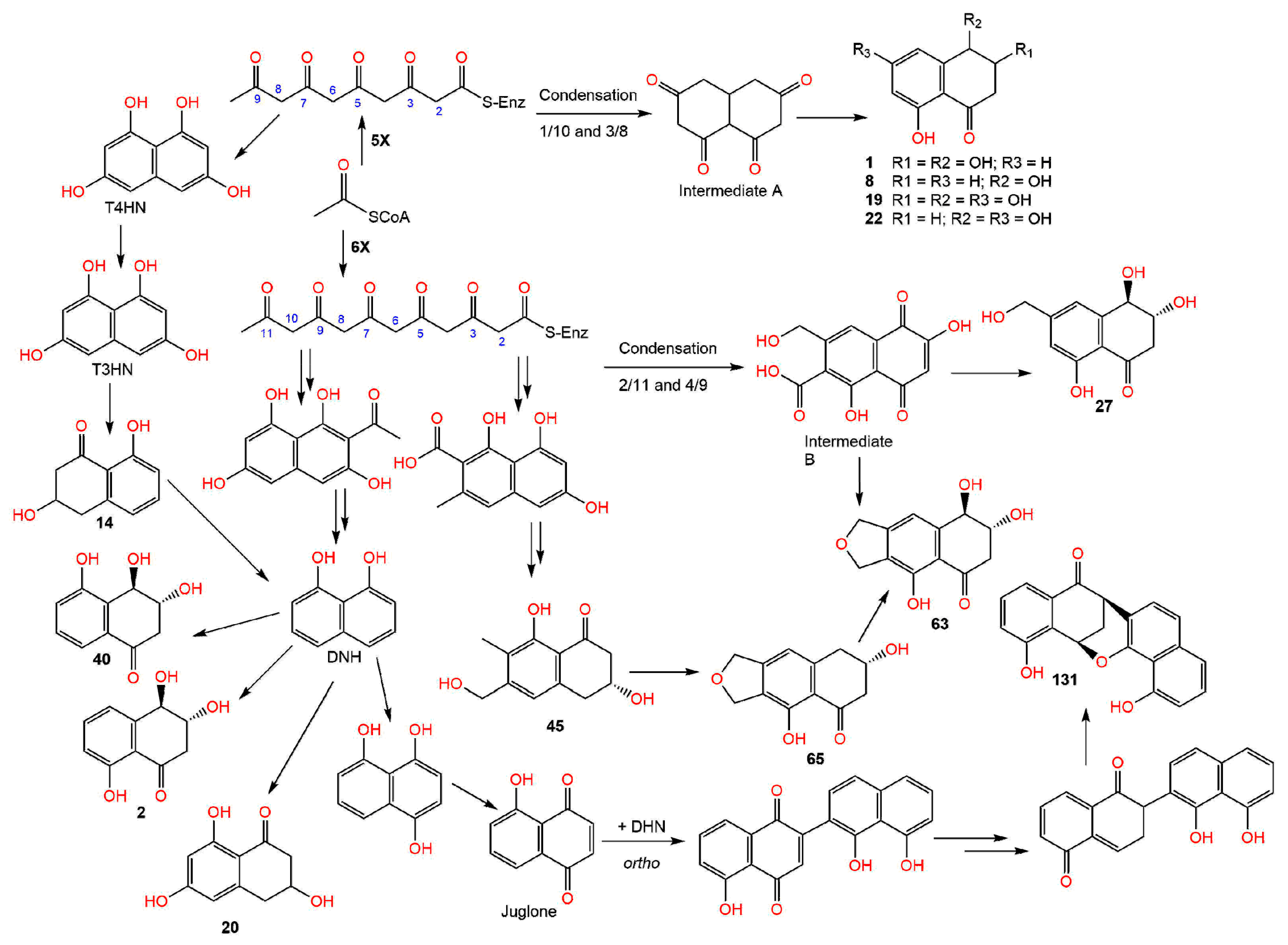 Toxins 14 00154 sch001
