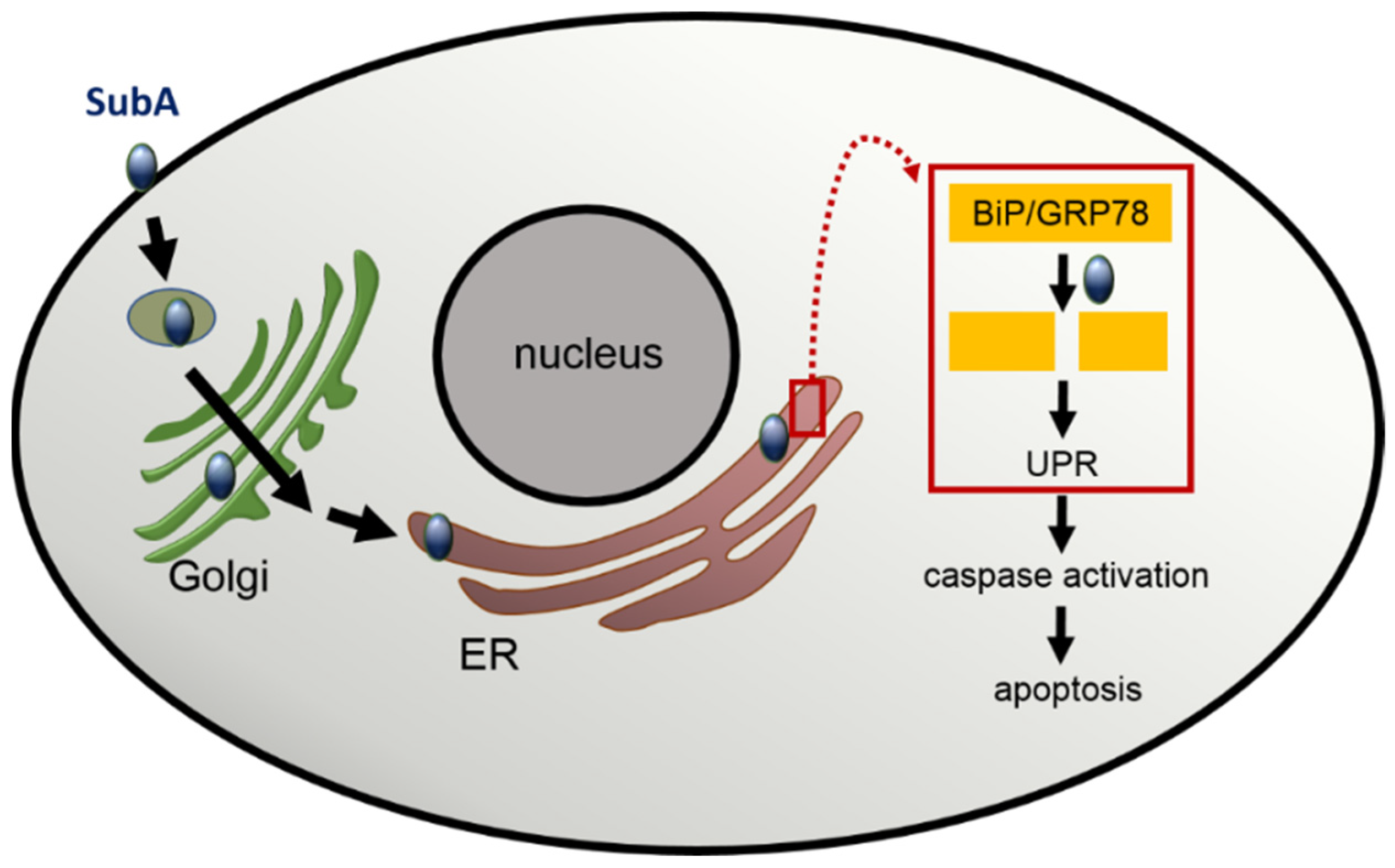 Toxins 14 00156 g002 Toxins 14 00156 g002