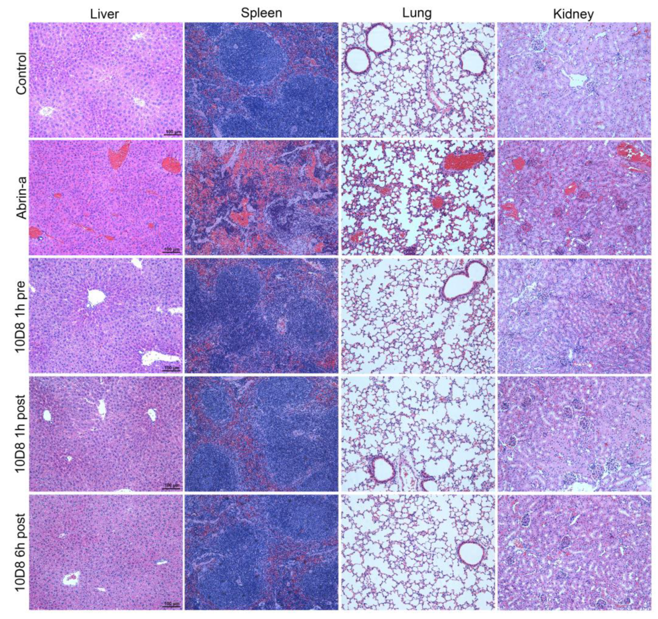 Toxins 14 00164 g005 Toxins 14 00164 g005