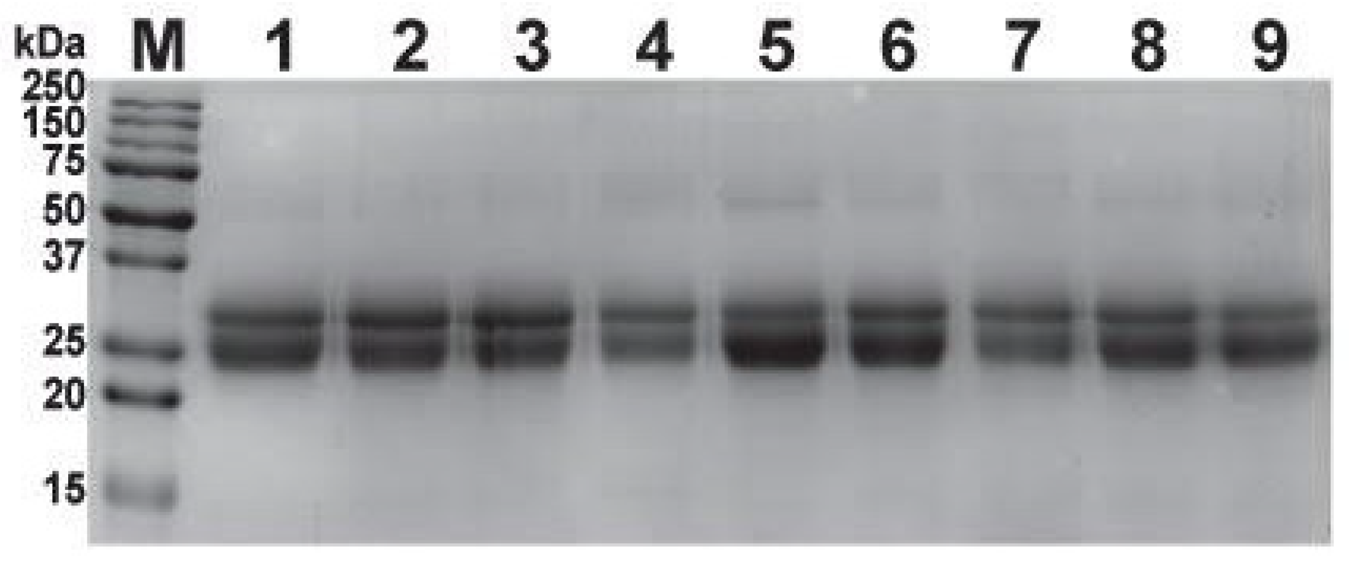 Toxins 14 00168 g001 550