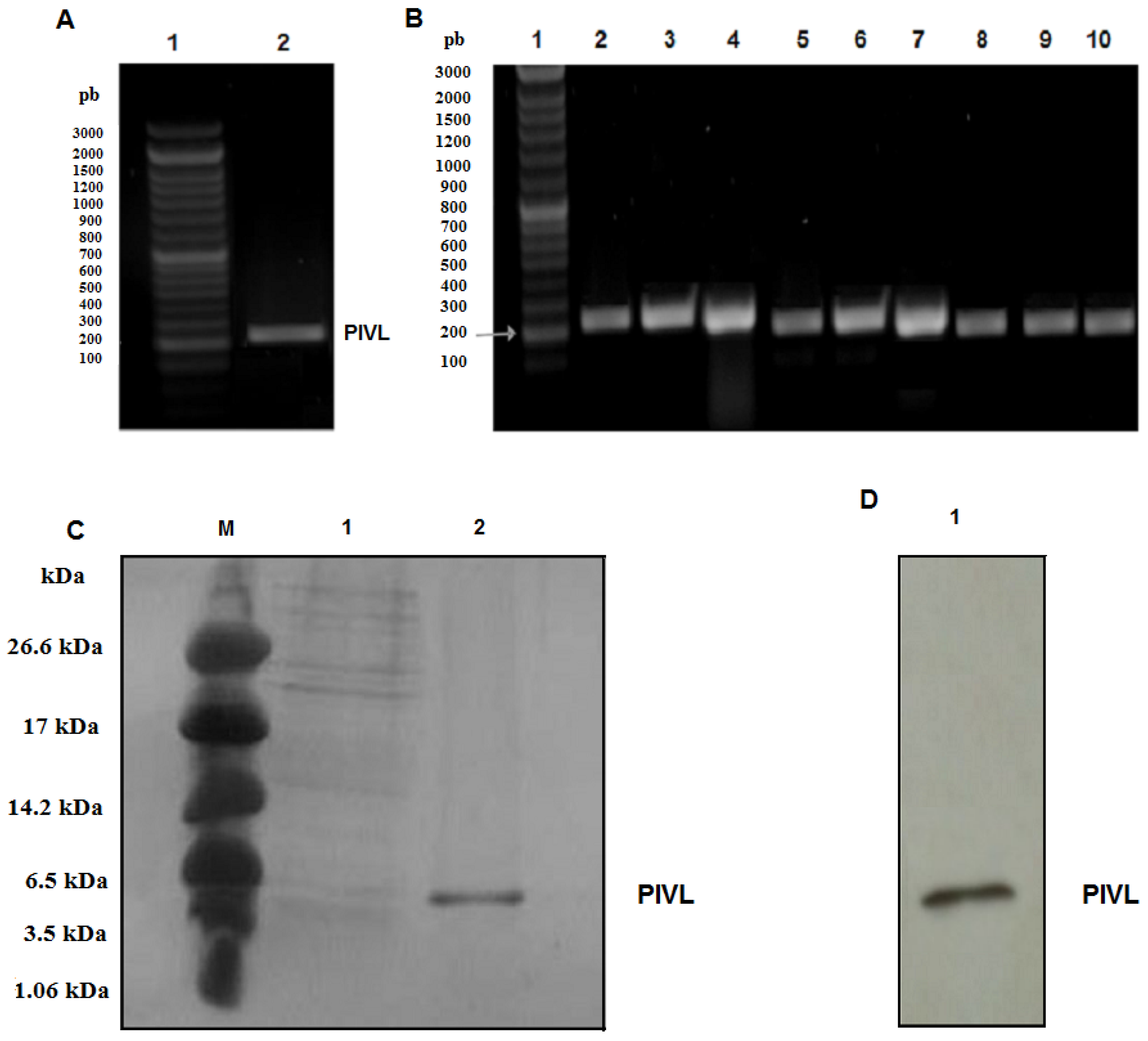 Toxins 14 00170 g001