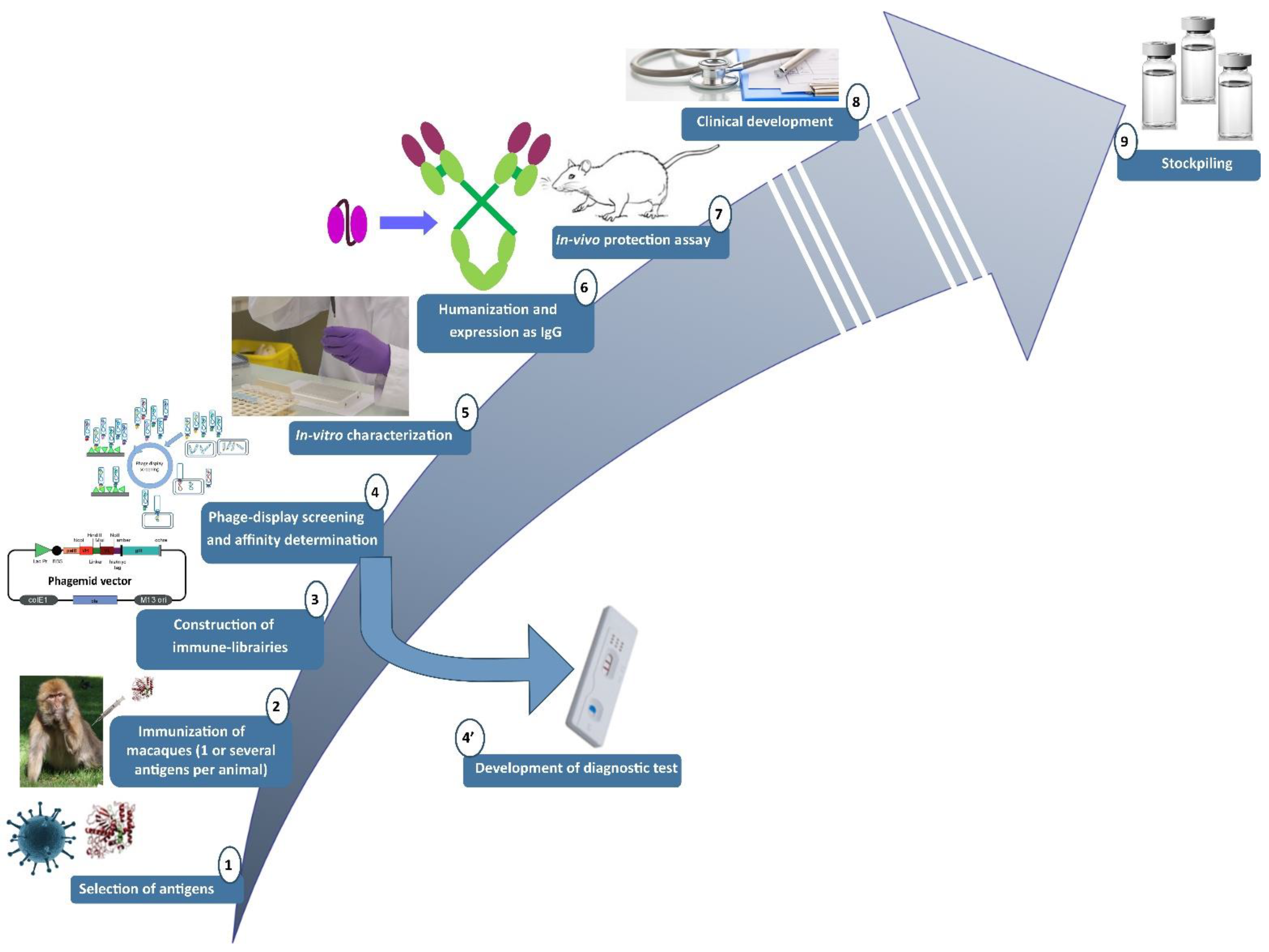 Toxins 14 00172 g001