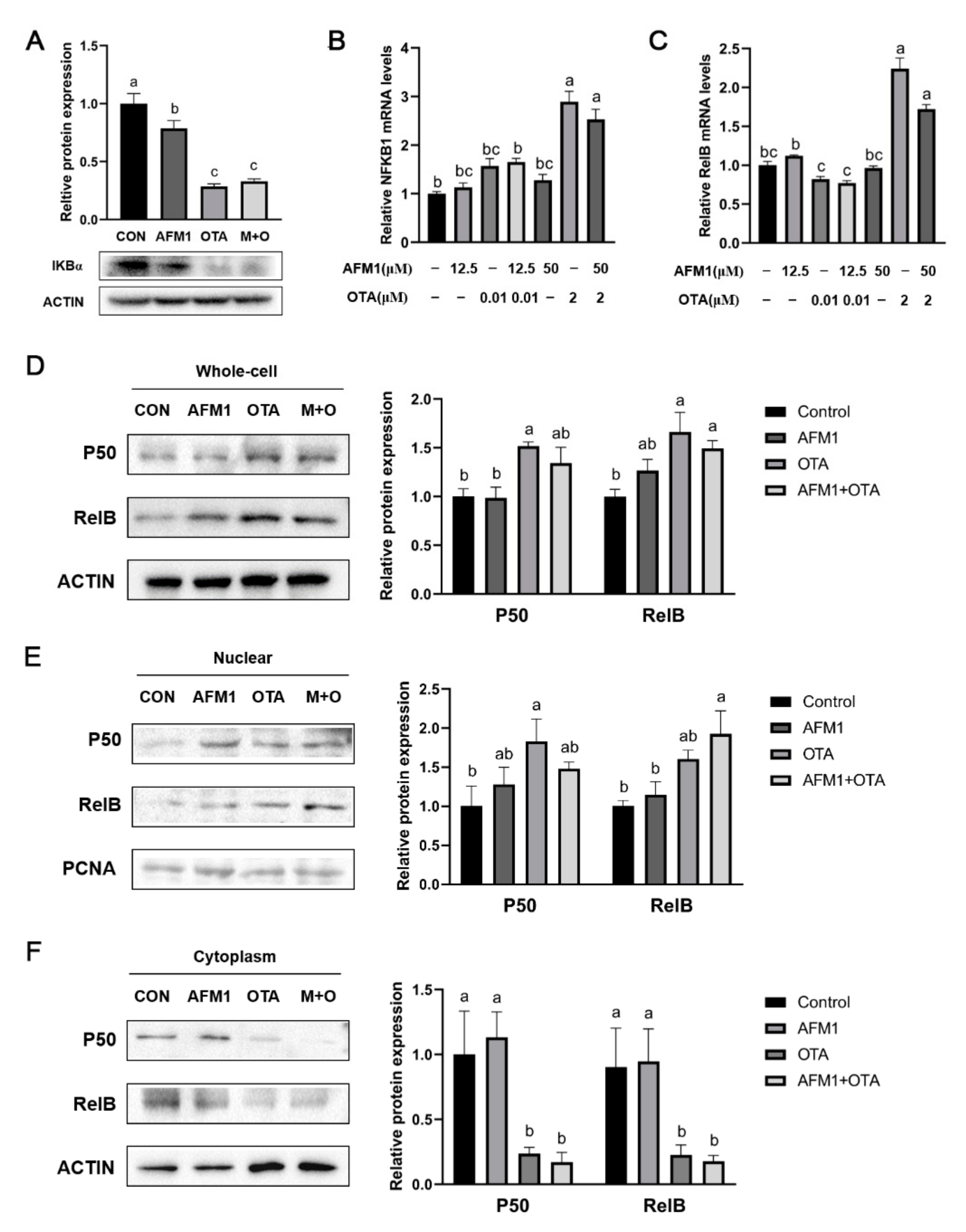Toxins 14 00173 g006