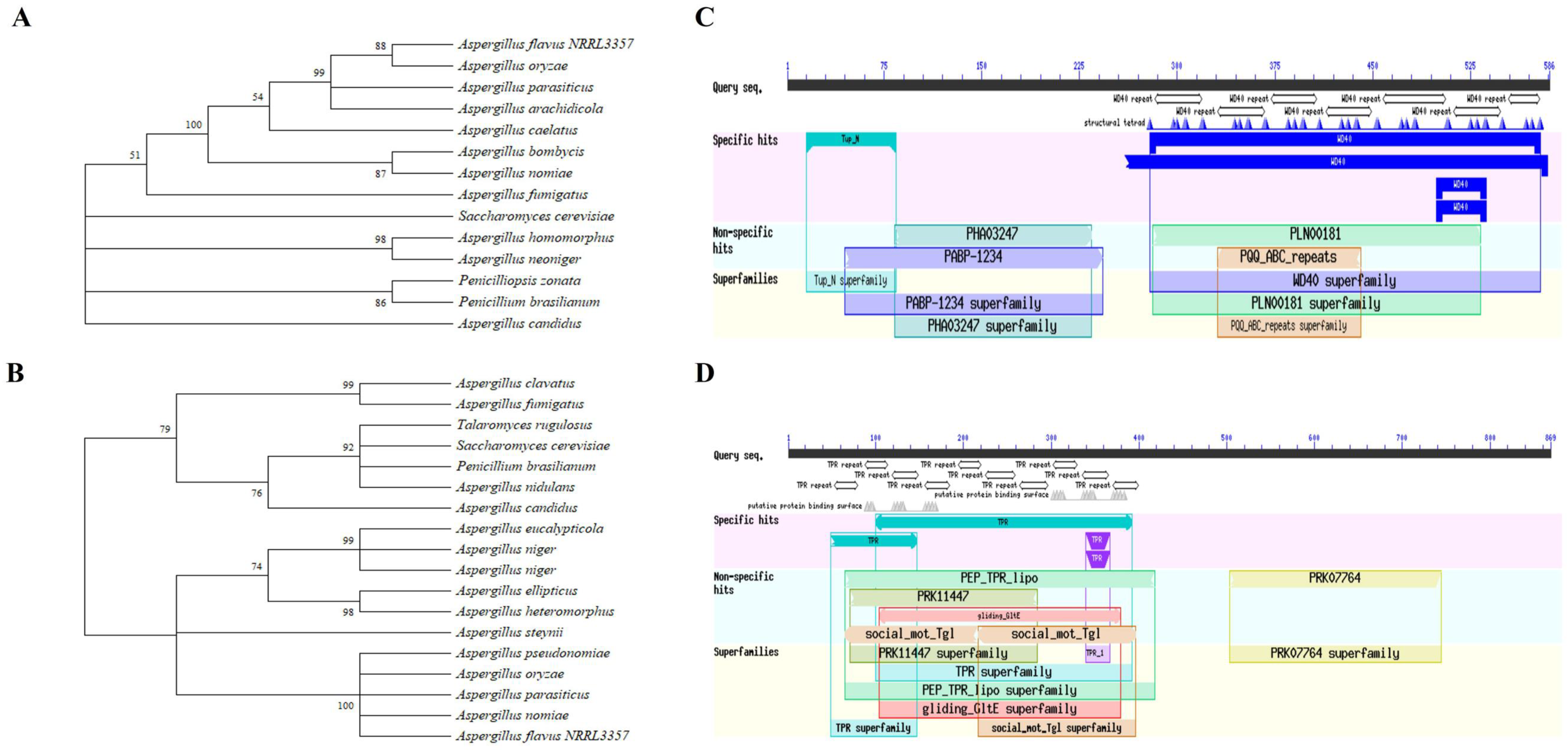 Toxins 14 00174 g001