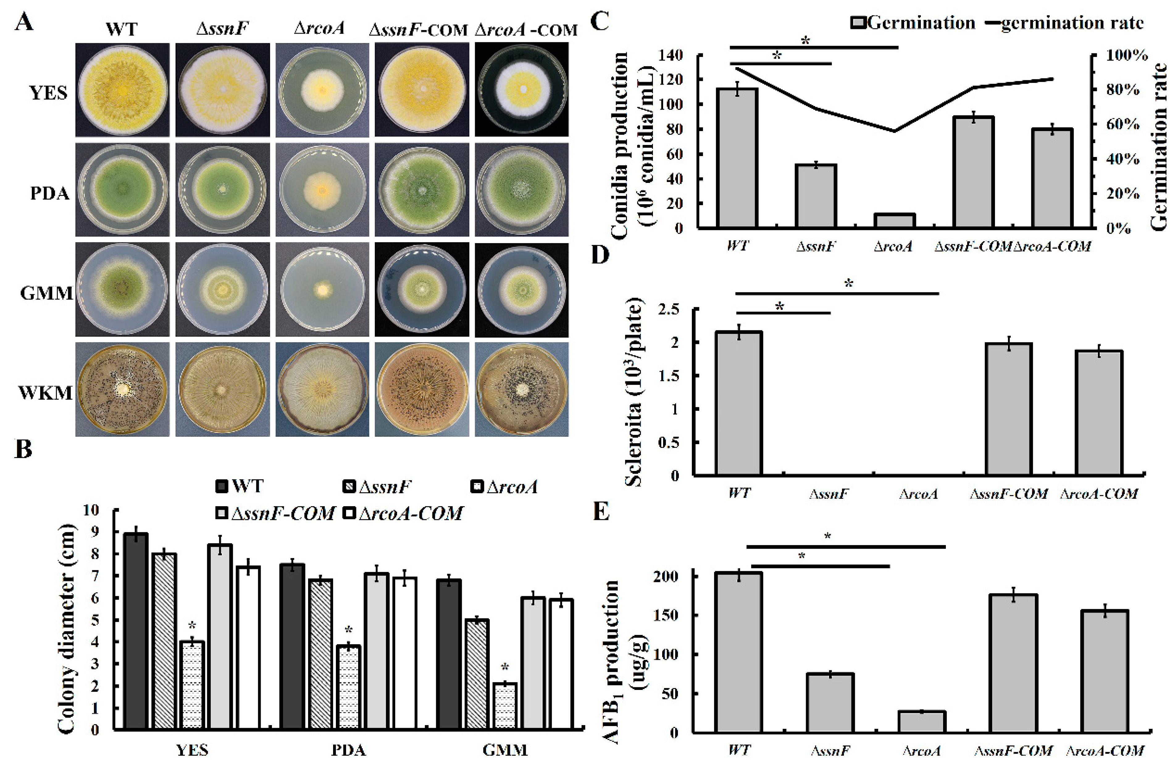 Toxins 14 00174 g002