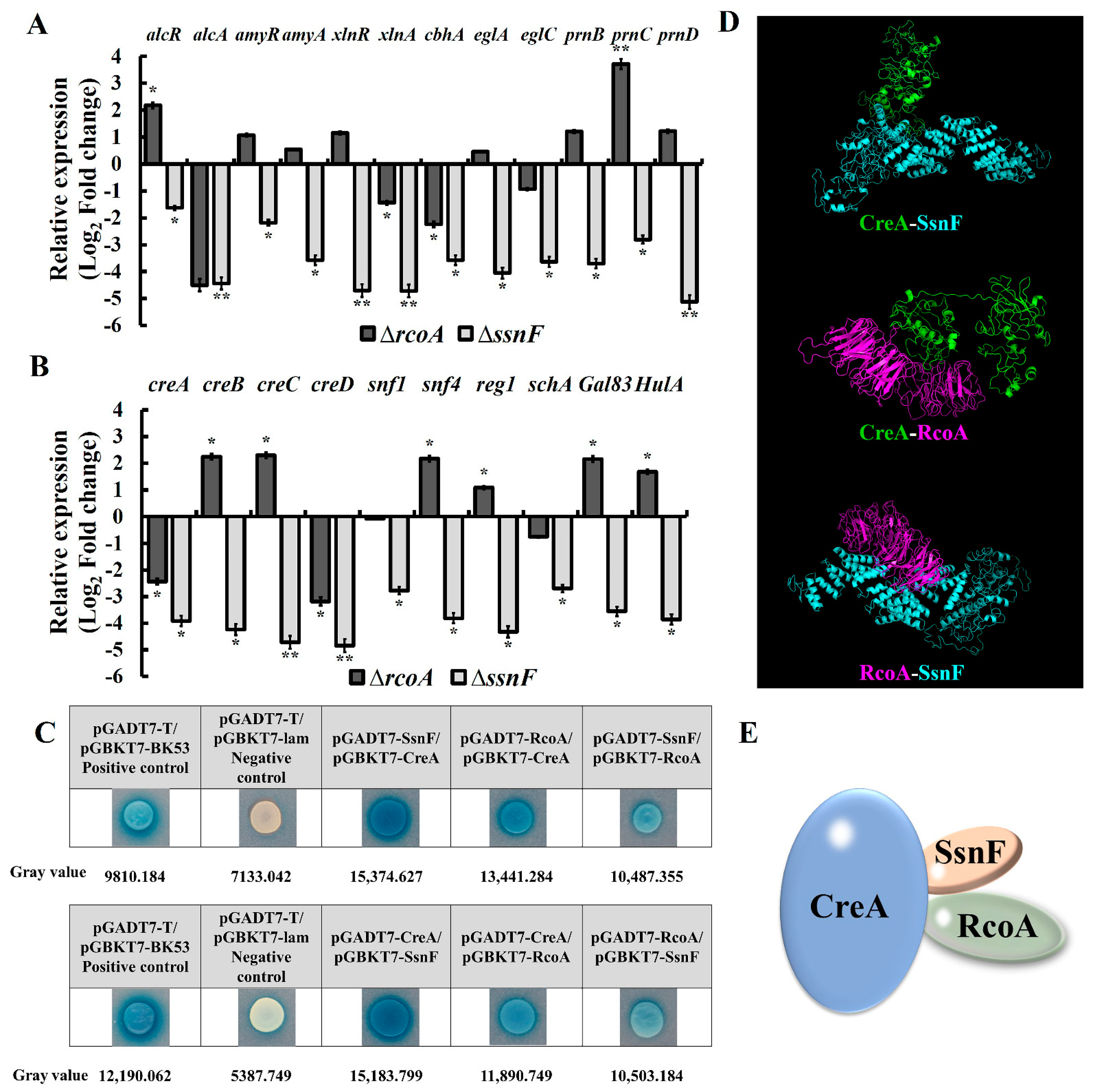 Toxins 14 00174 g004