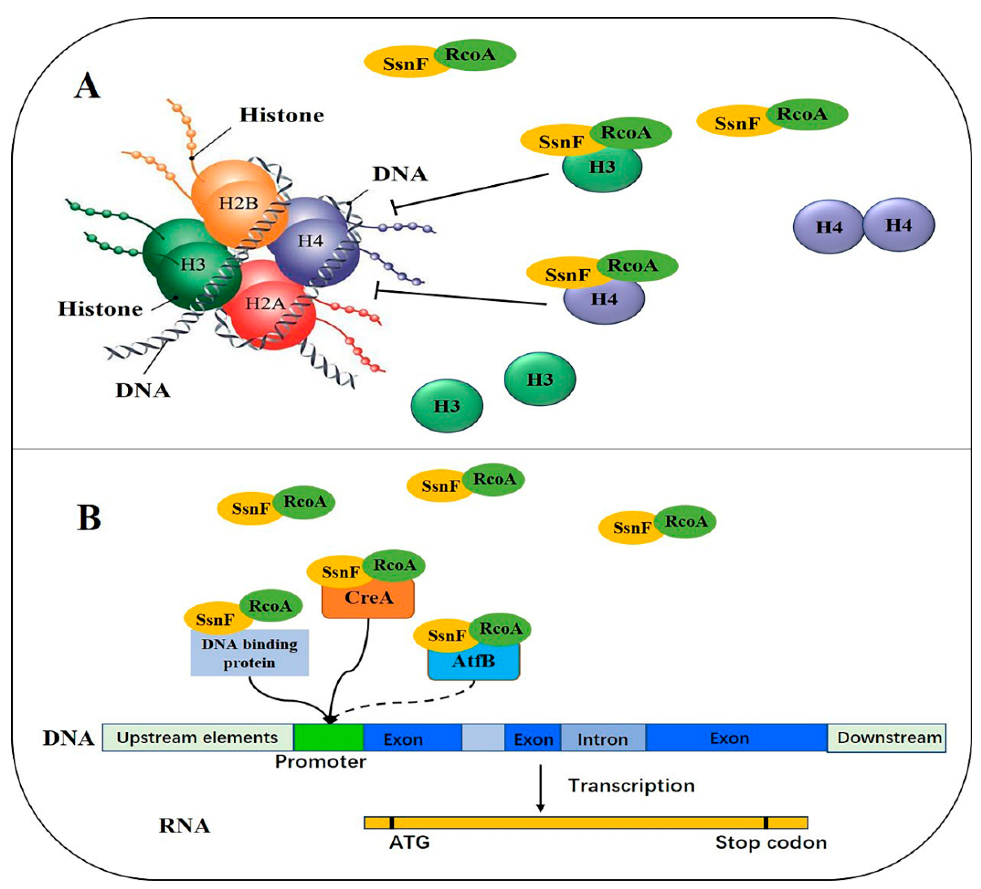 Toxins 14 00174 g006