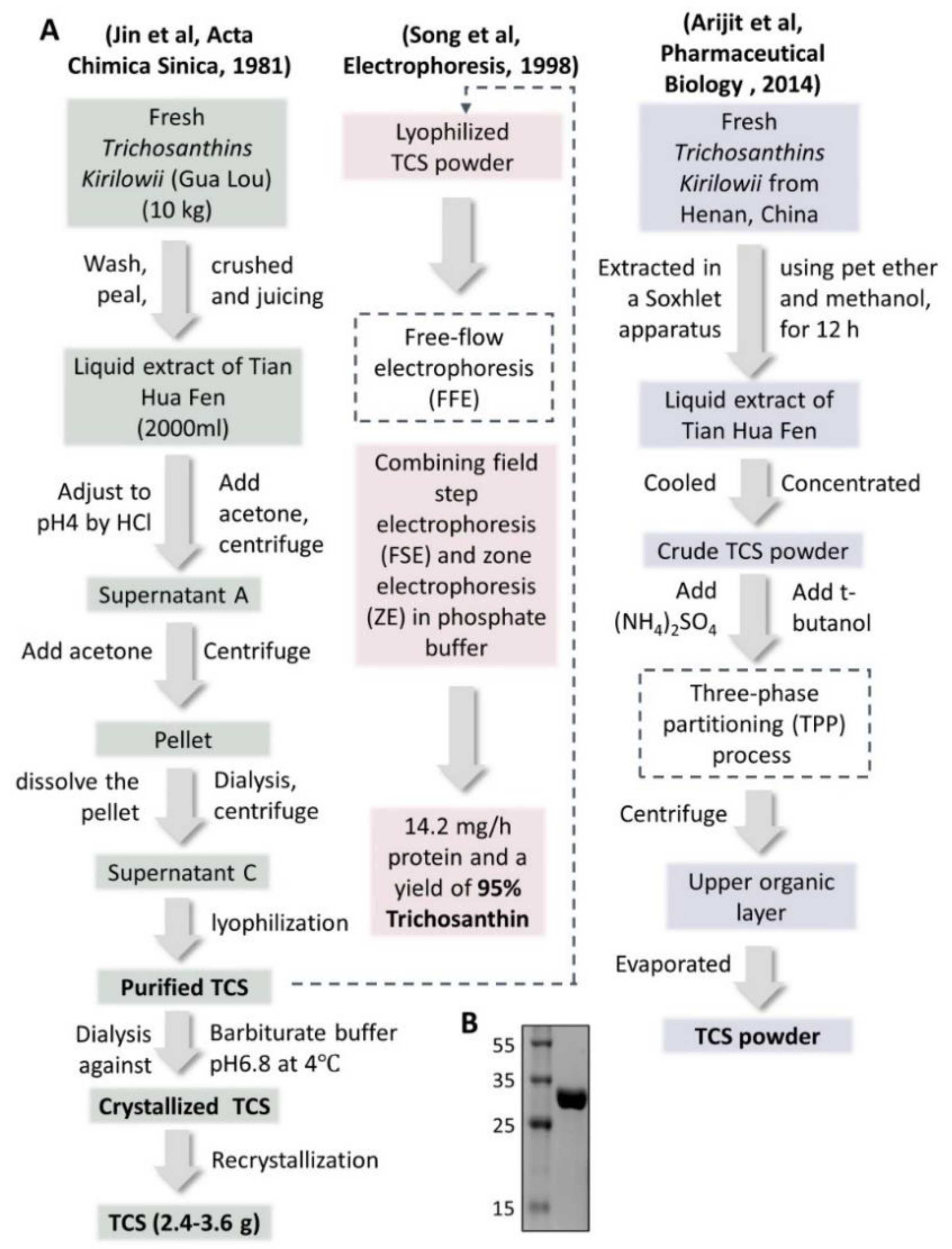 Toxins 14 00178 g002 Toxins 14 00178 g002