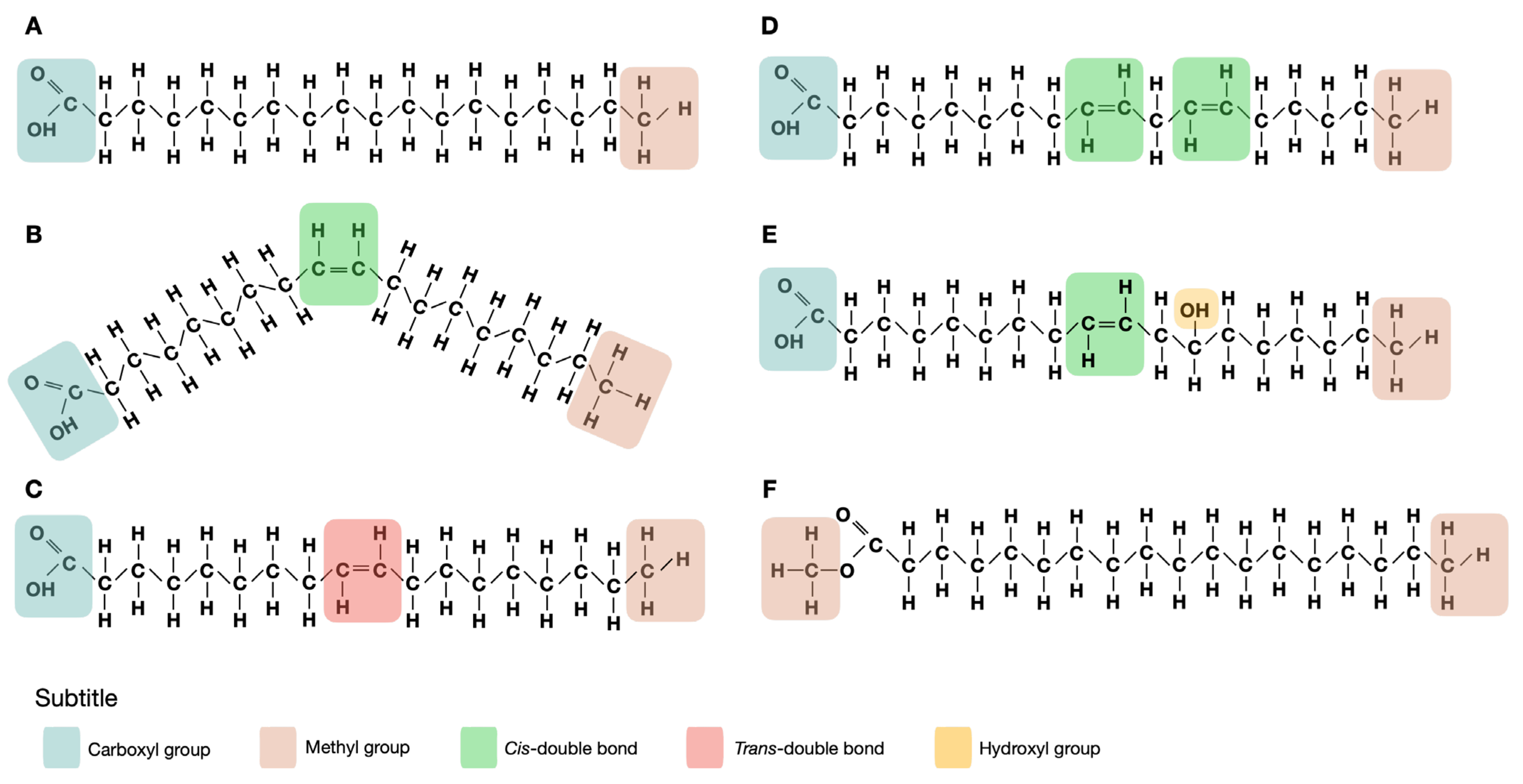 Toxins 14 00188 g001 550