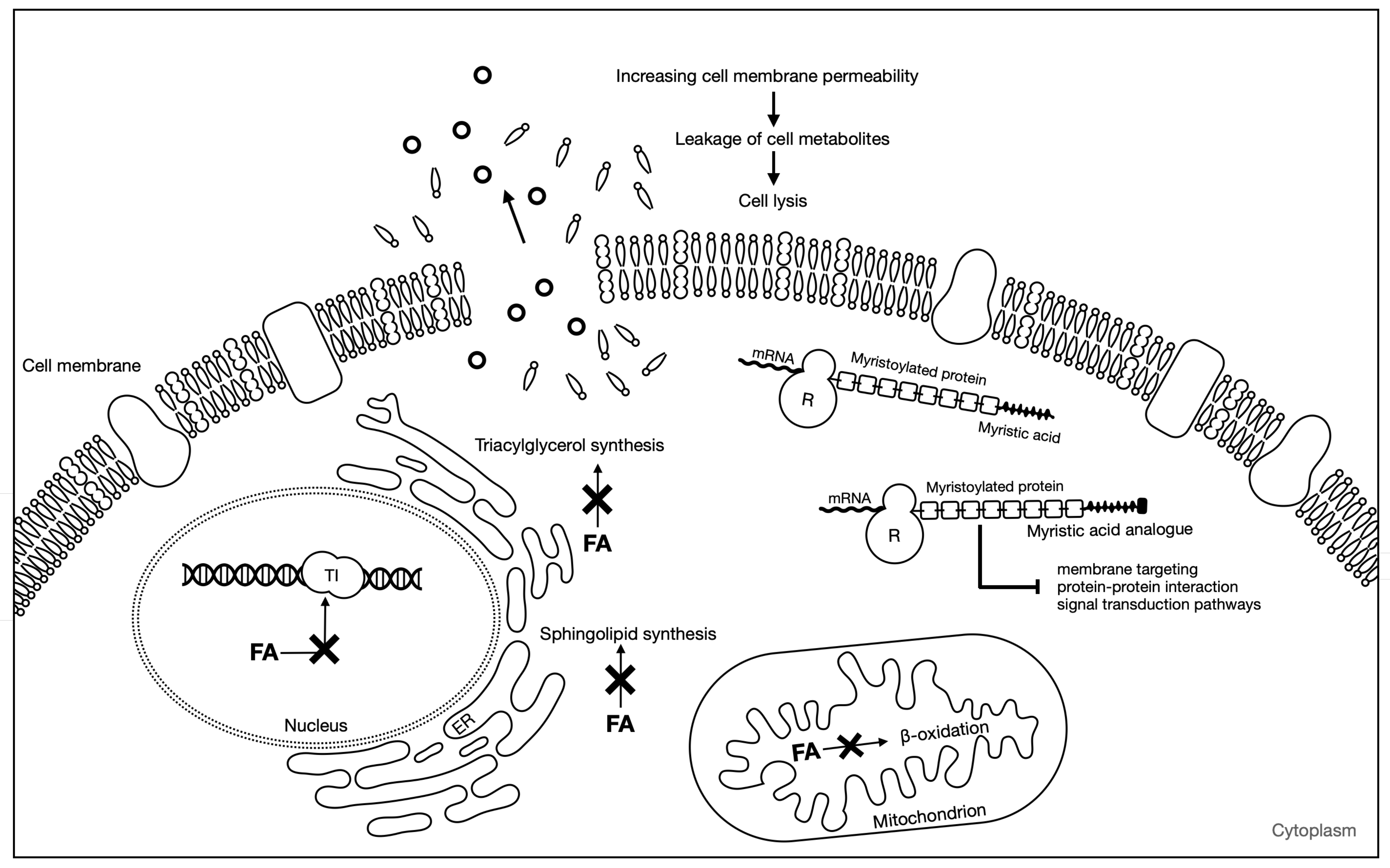 Toxins 14 00188 g002 550