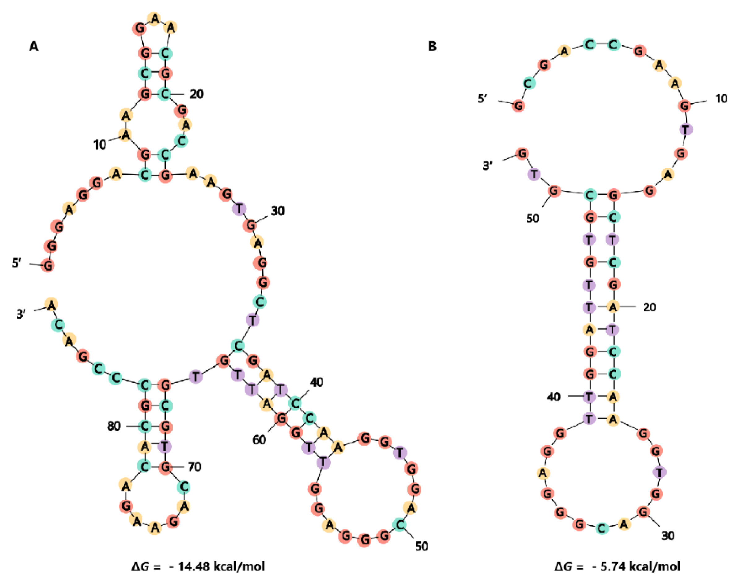 Toxins 14 00195 g003 550