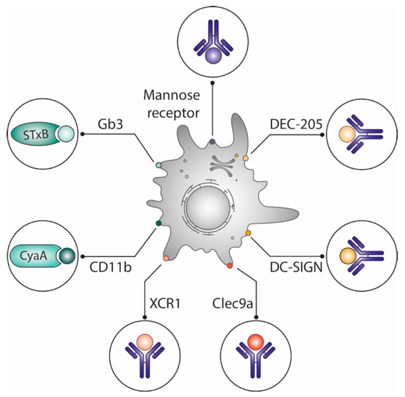 Toxins 14 00202 g002