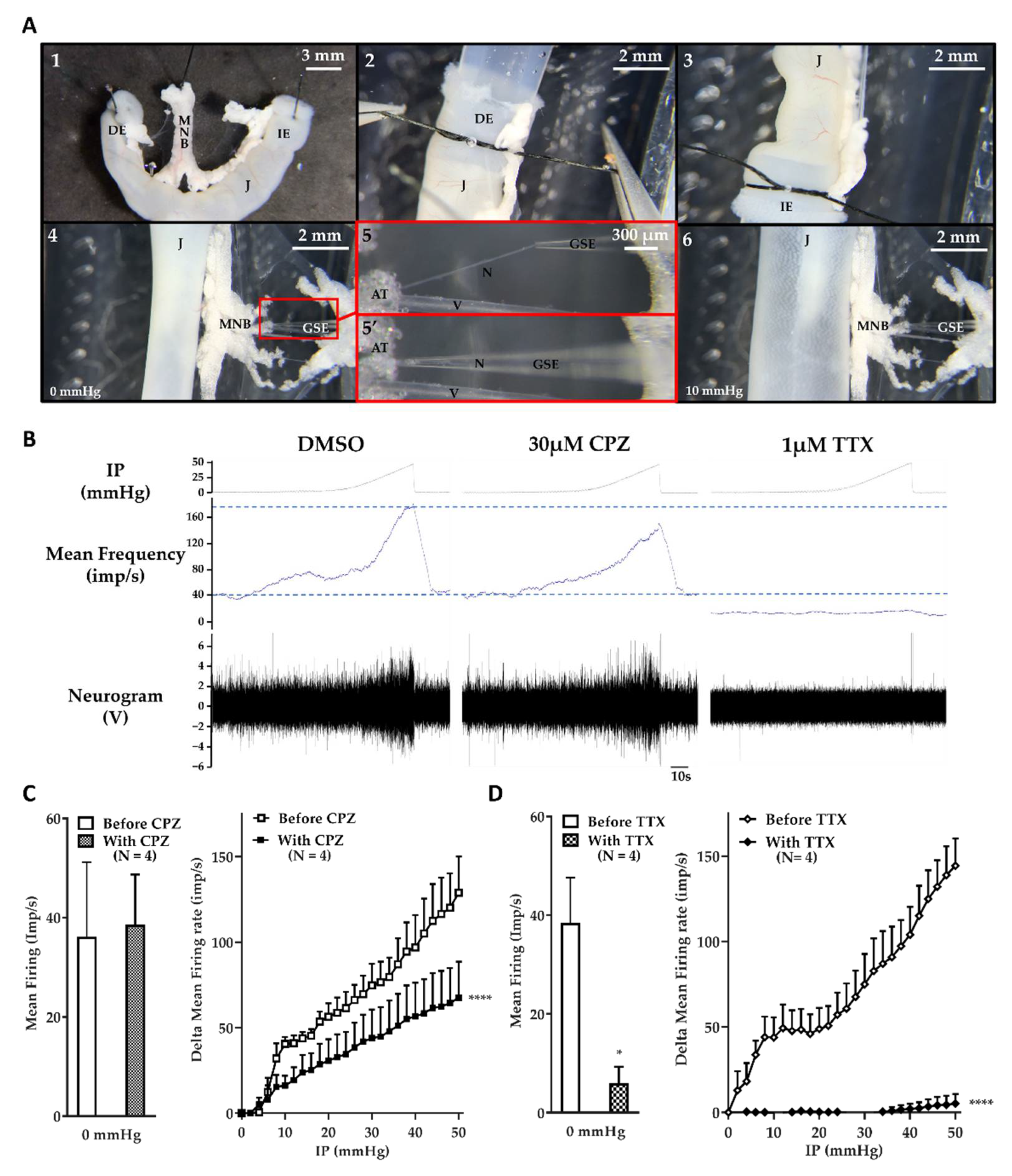 Toxins 14 00205 g001 Toxins 14 00205 g001