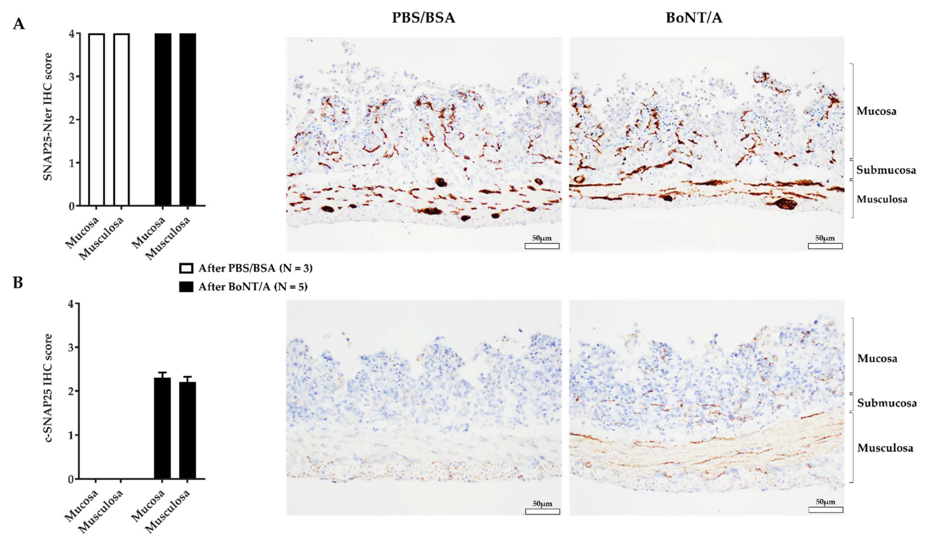 Toxins 14 00205 g002 Toxins 14 00205 g002