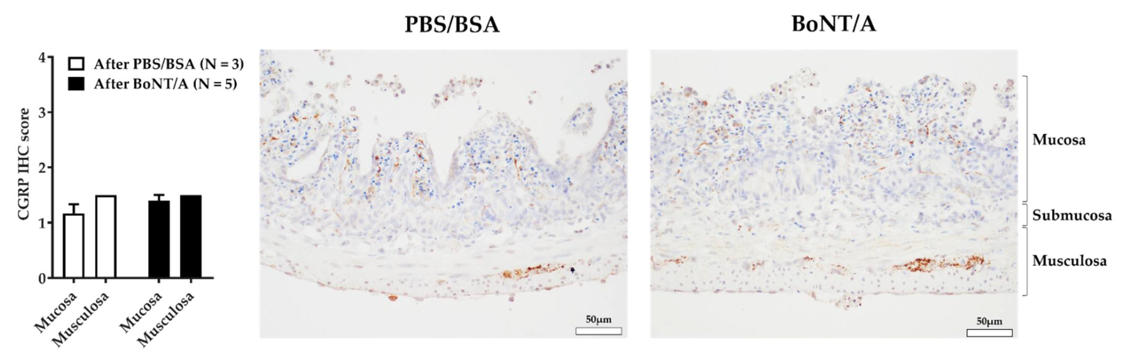Toxins 14 00205 g005 Toxins 14 00205 g005