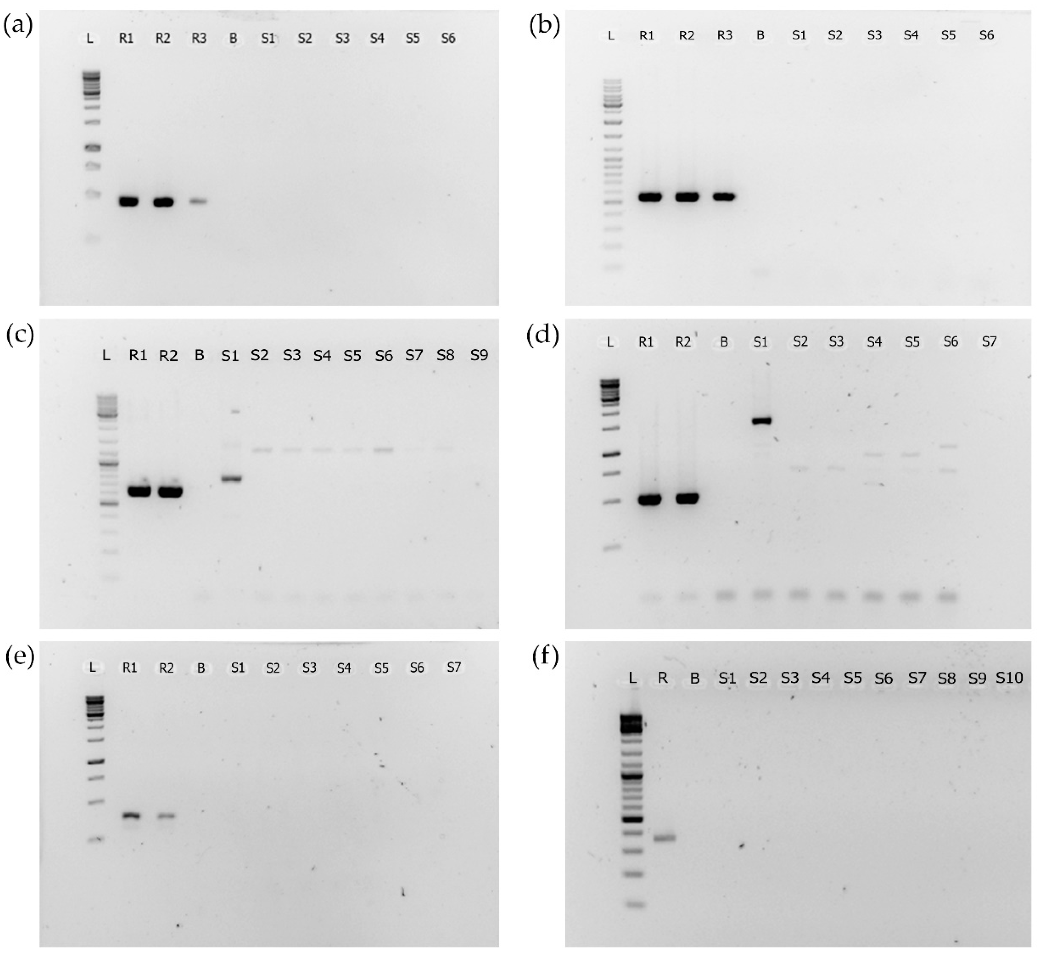 Toxins 14 00215 g002 550