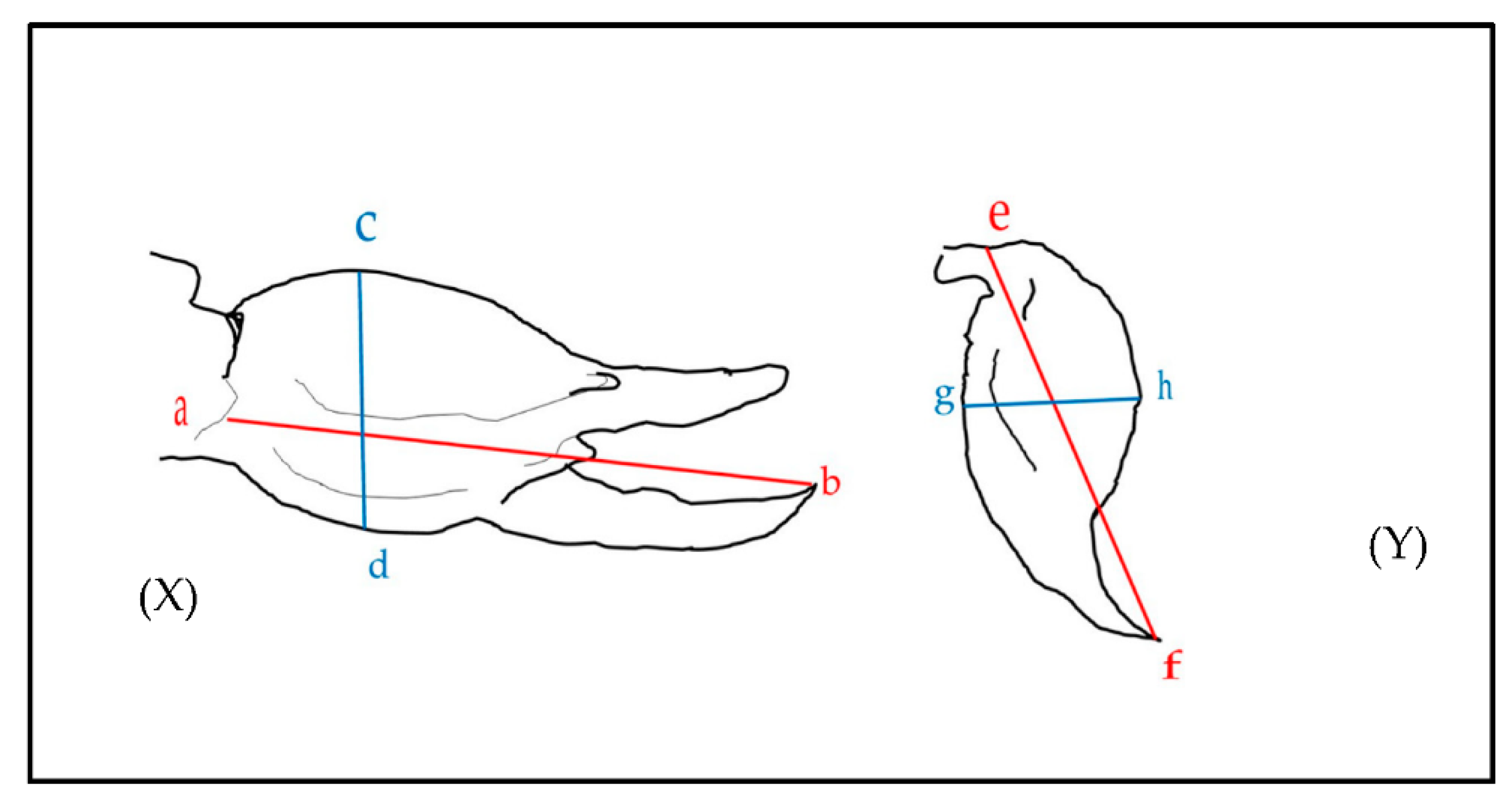 Toxins 14 00219 g003 550