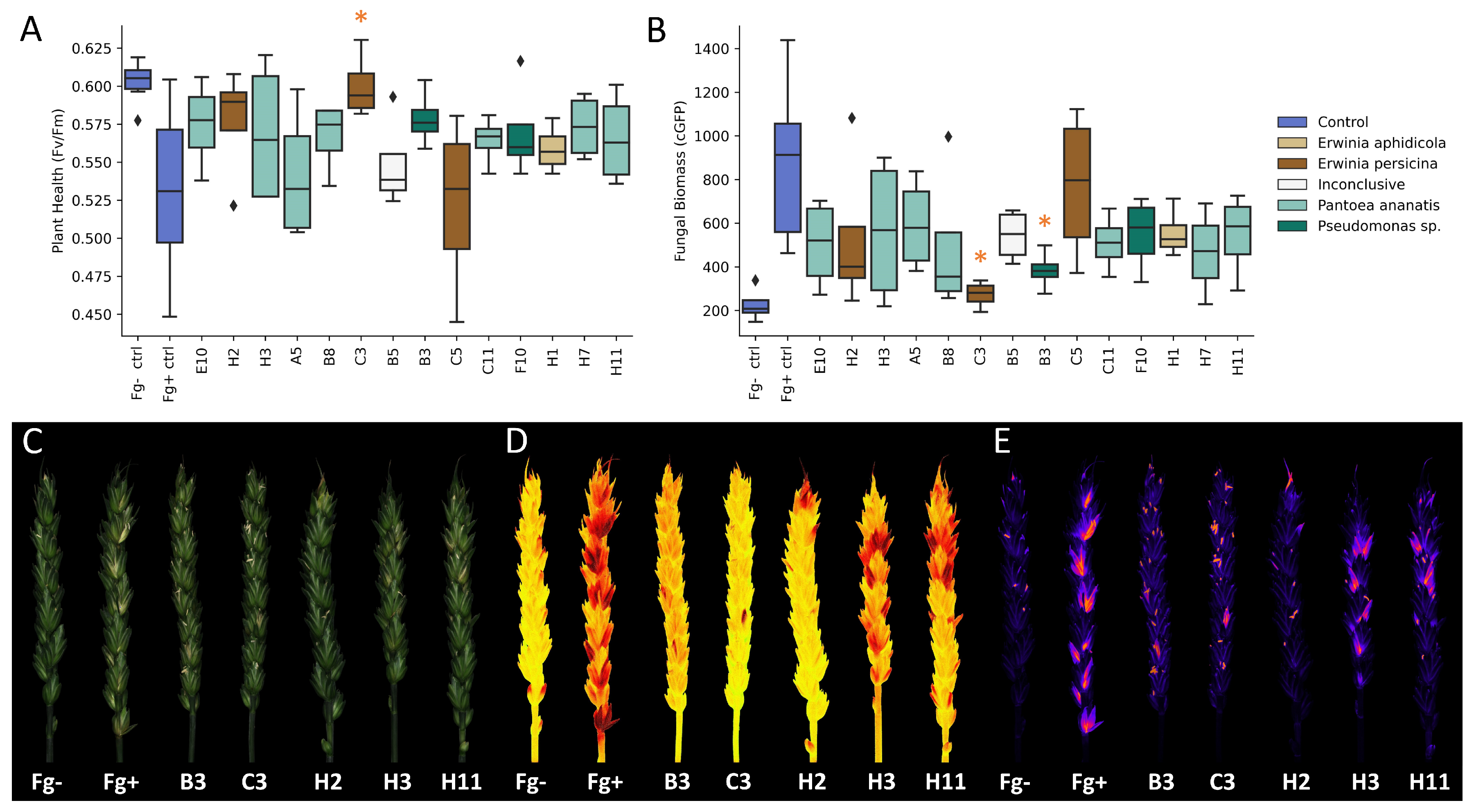 Toxins 14 00222 g004
