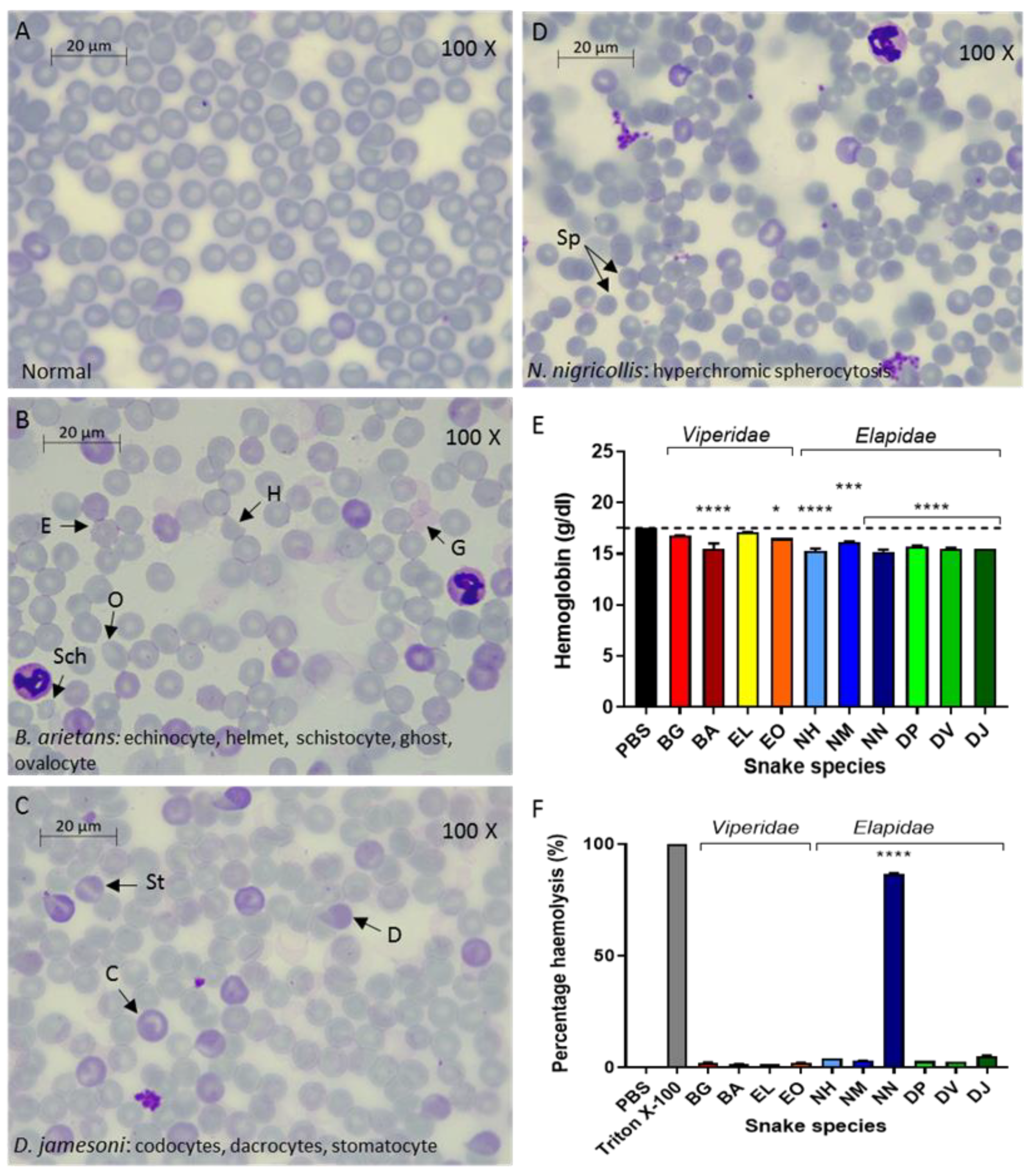 Toxins 14 00229 g001