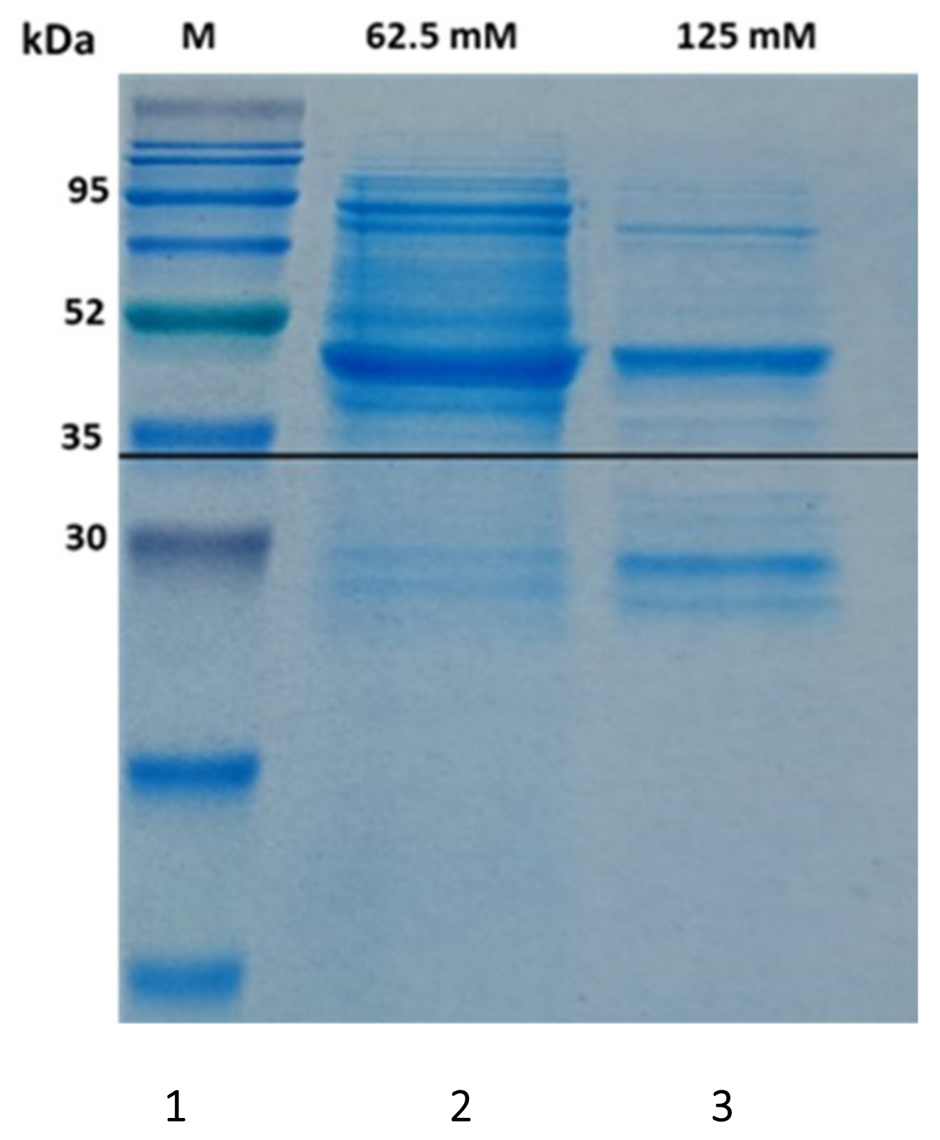 Toxins 14 00231 g001
