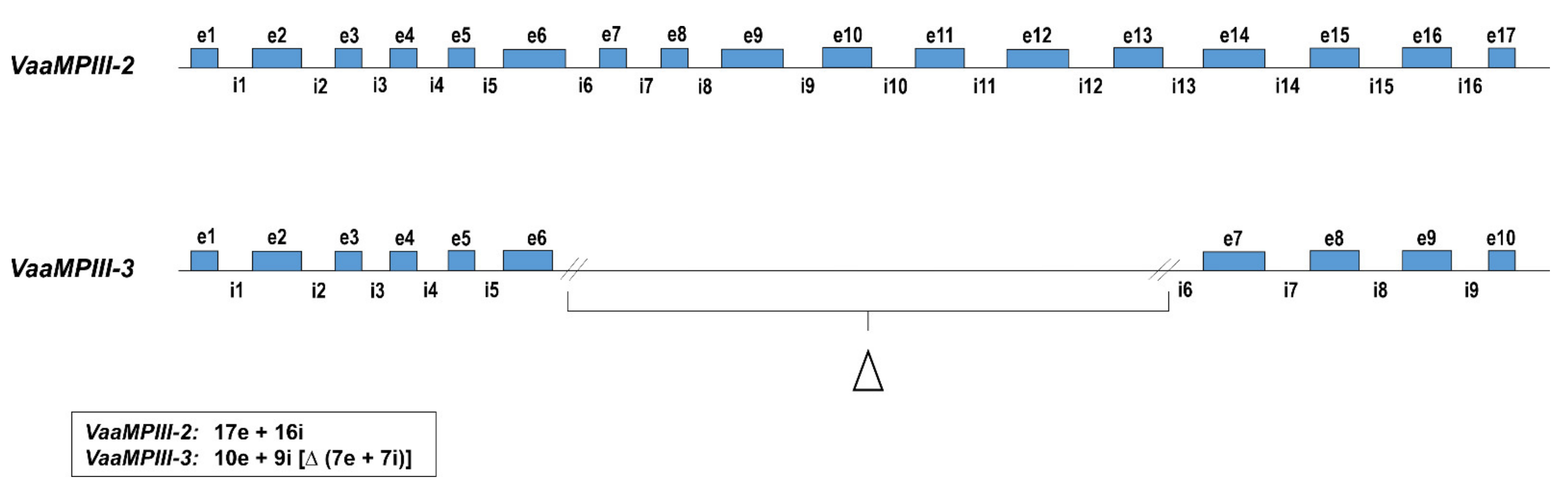 Toxins 14 00232 g002