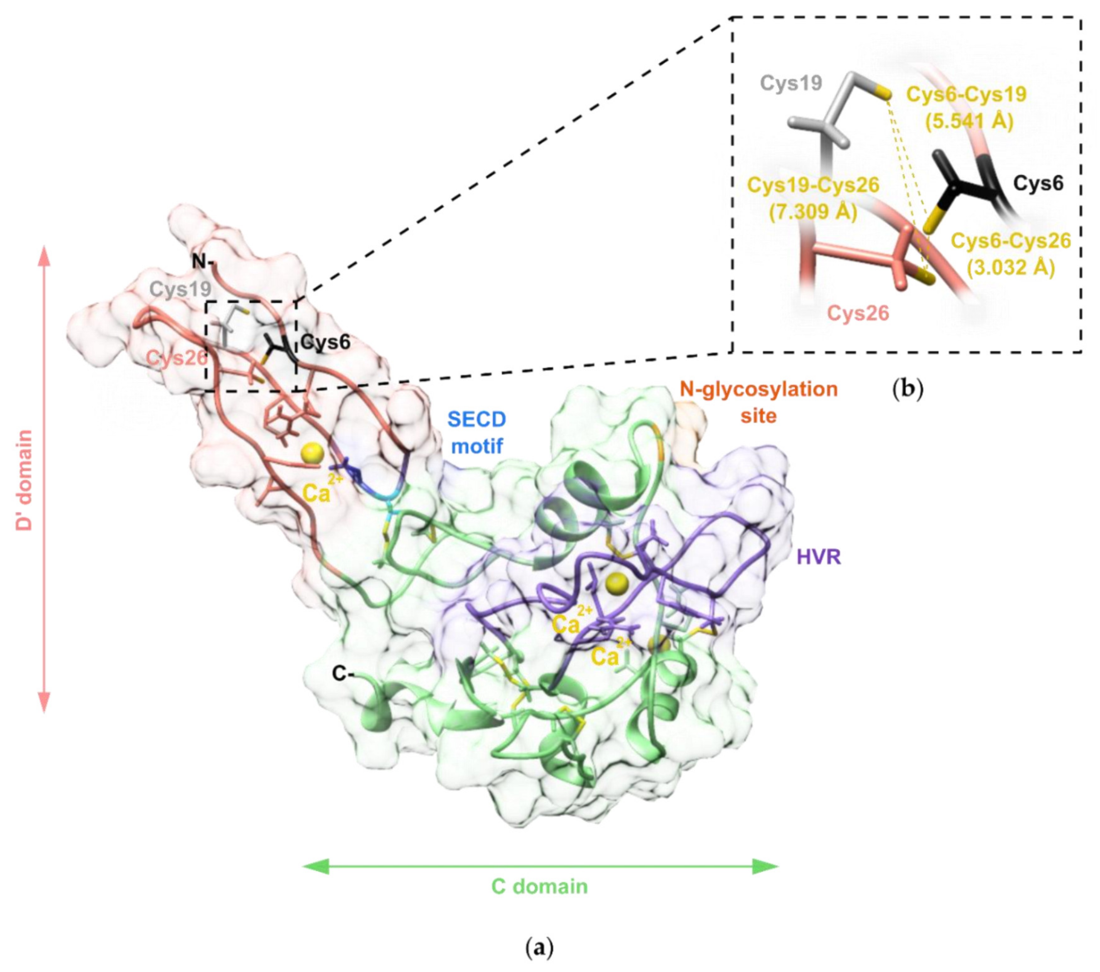 Toxins 14 00232 g006