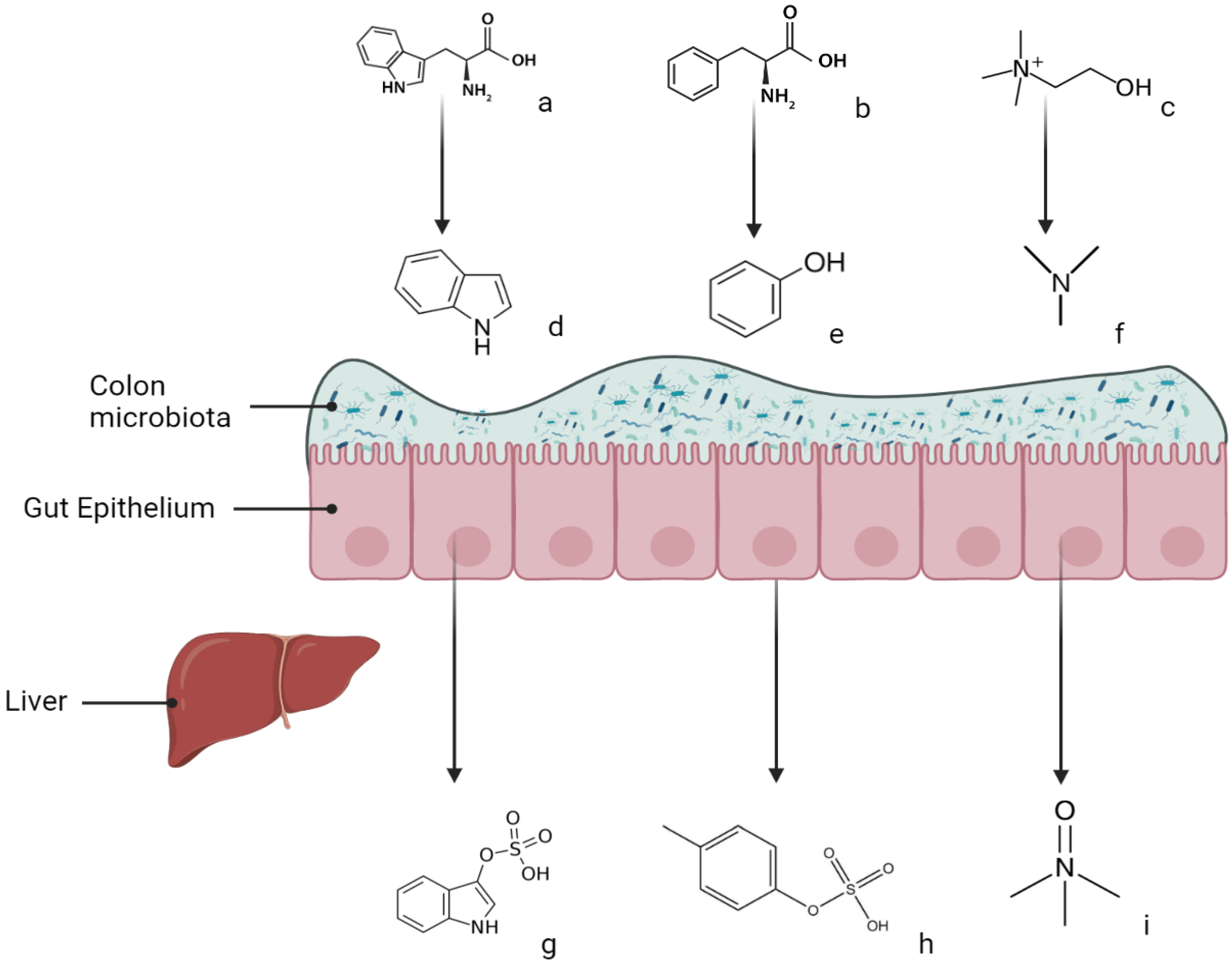 Toxins 14 00245 g001