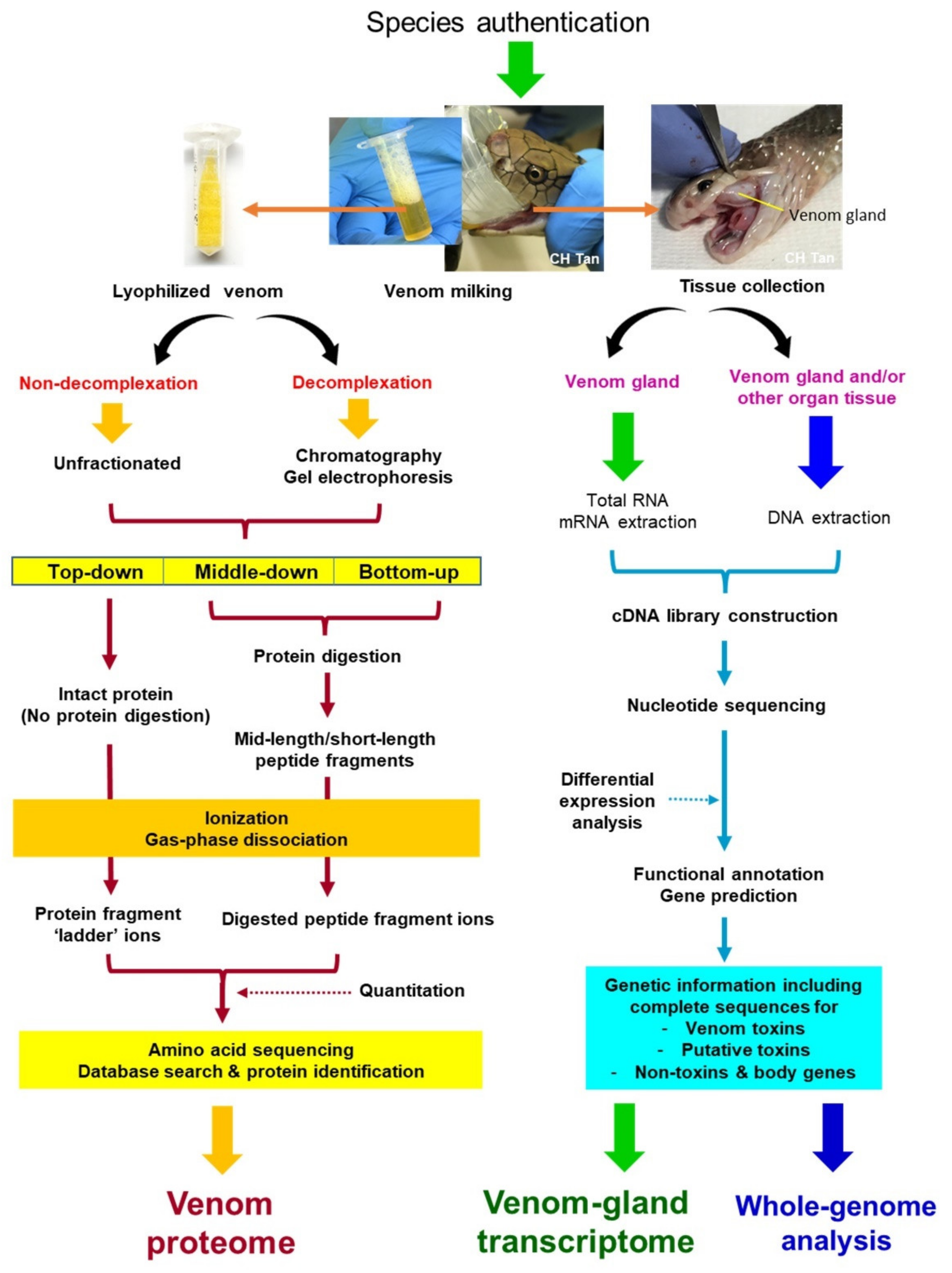 Toxins 14 00247 g002