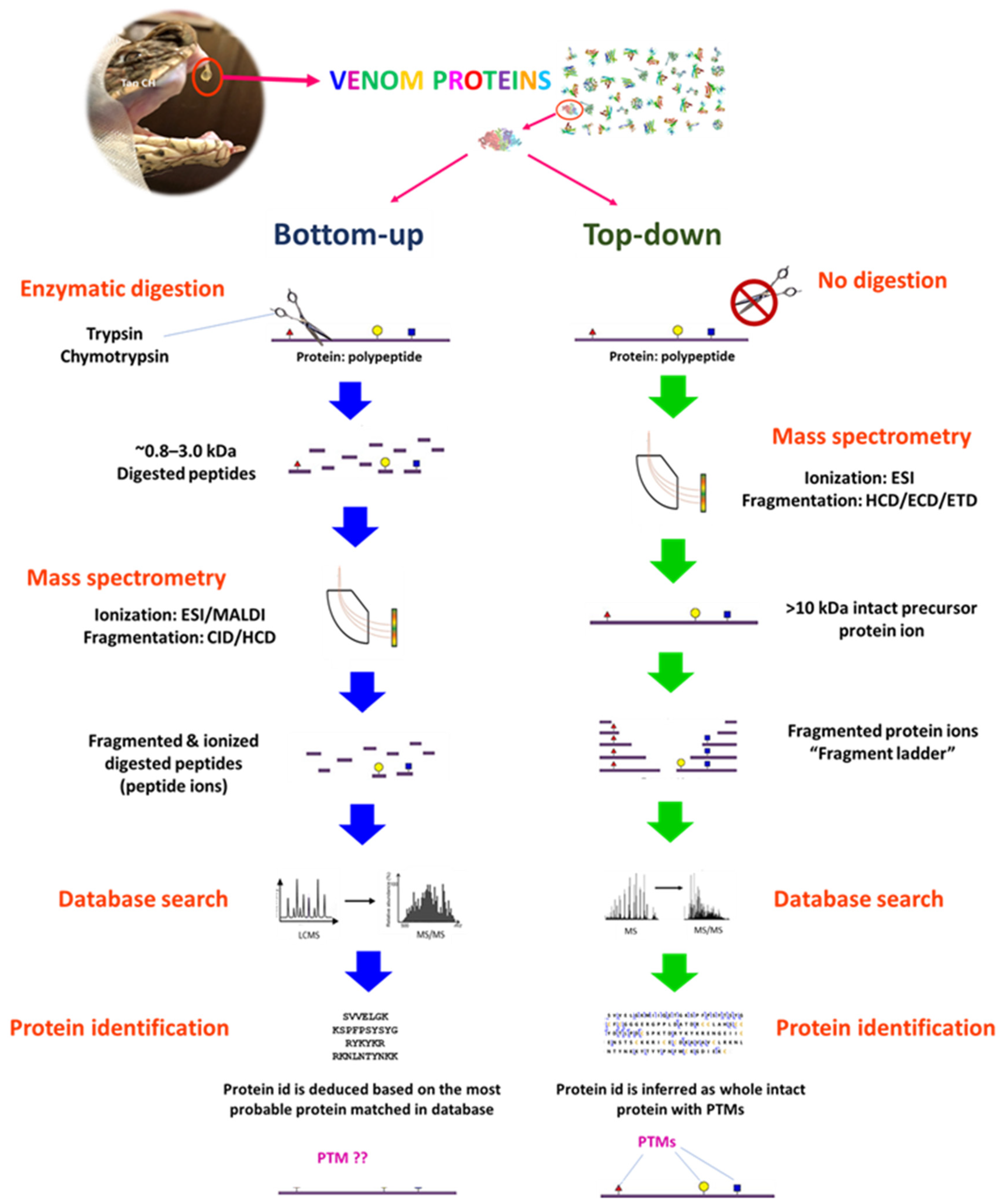 Toxins 14 00247 g005