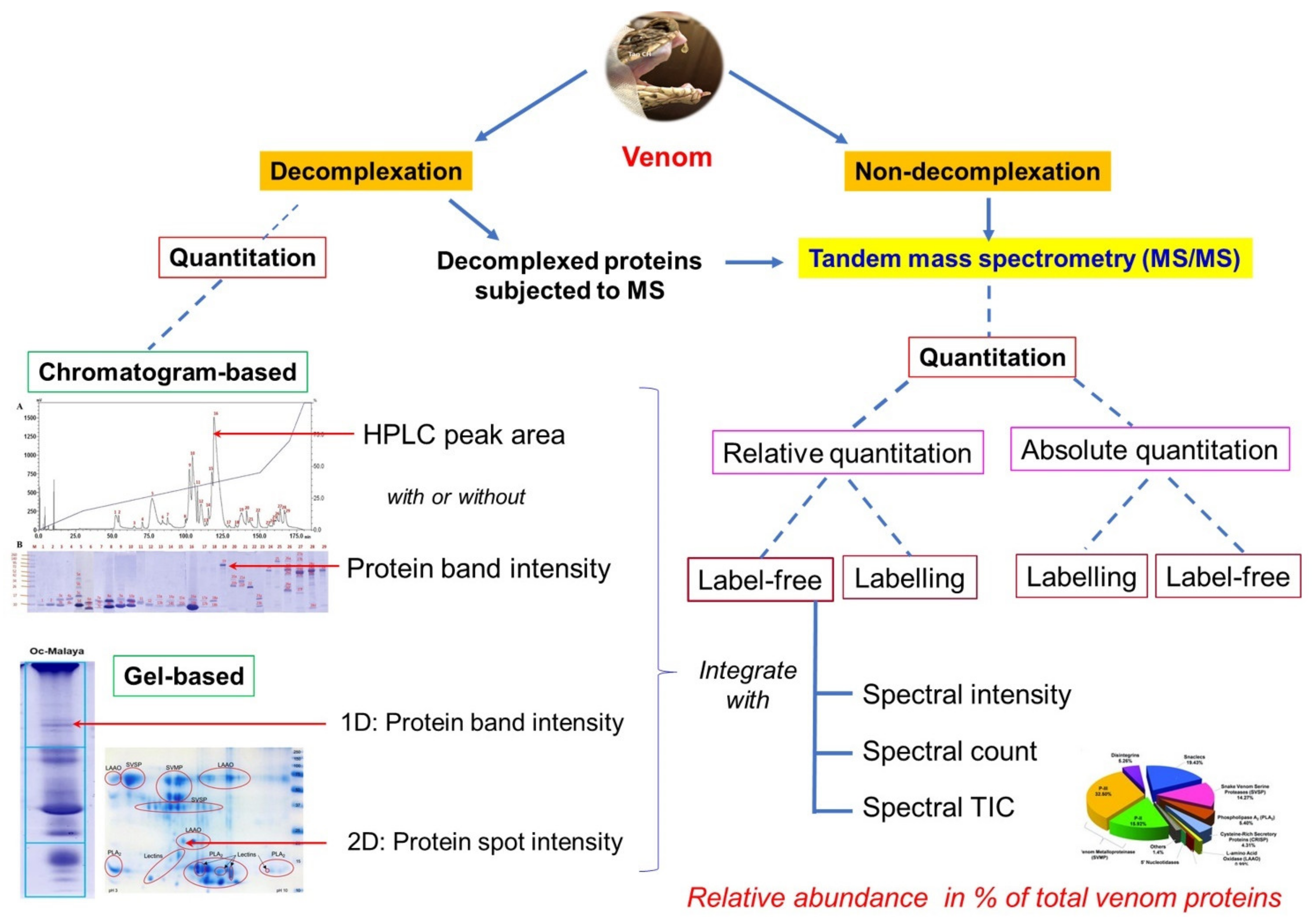 Toxins 14 00247 g006