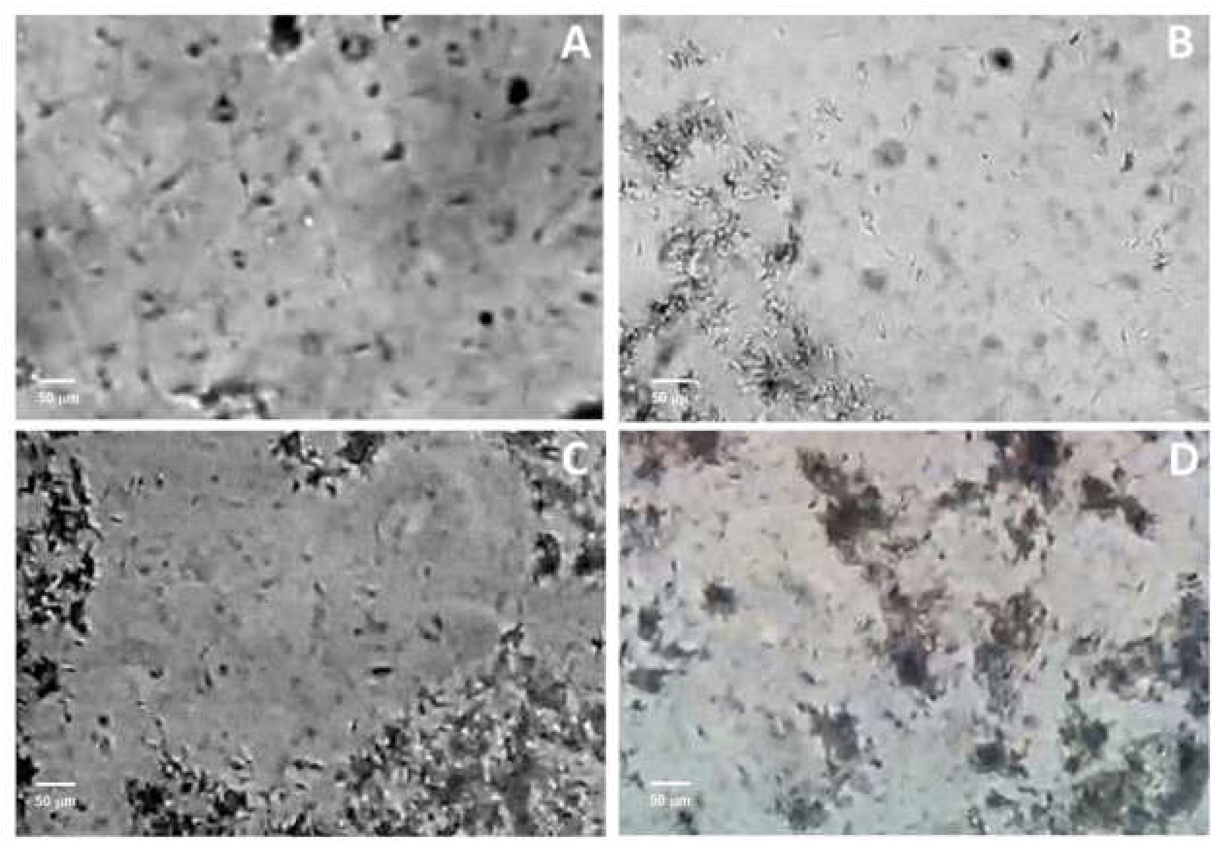 Toxins 14 00261 g003