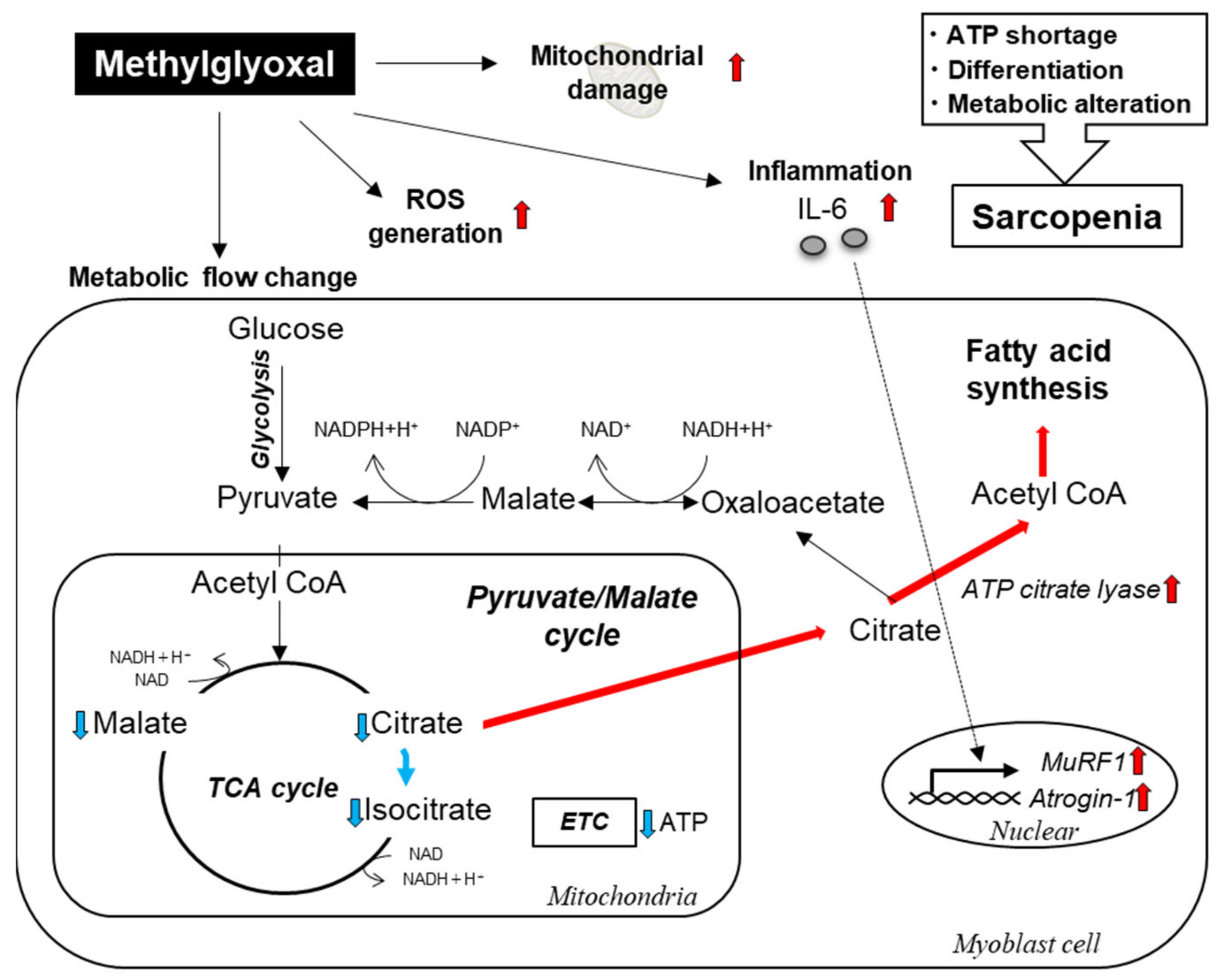 Toxins 14 00263 g007 550