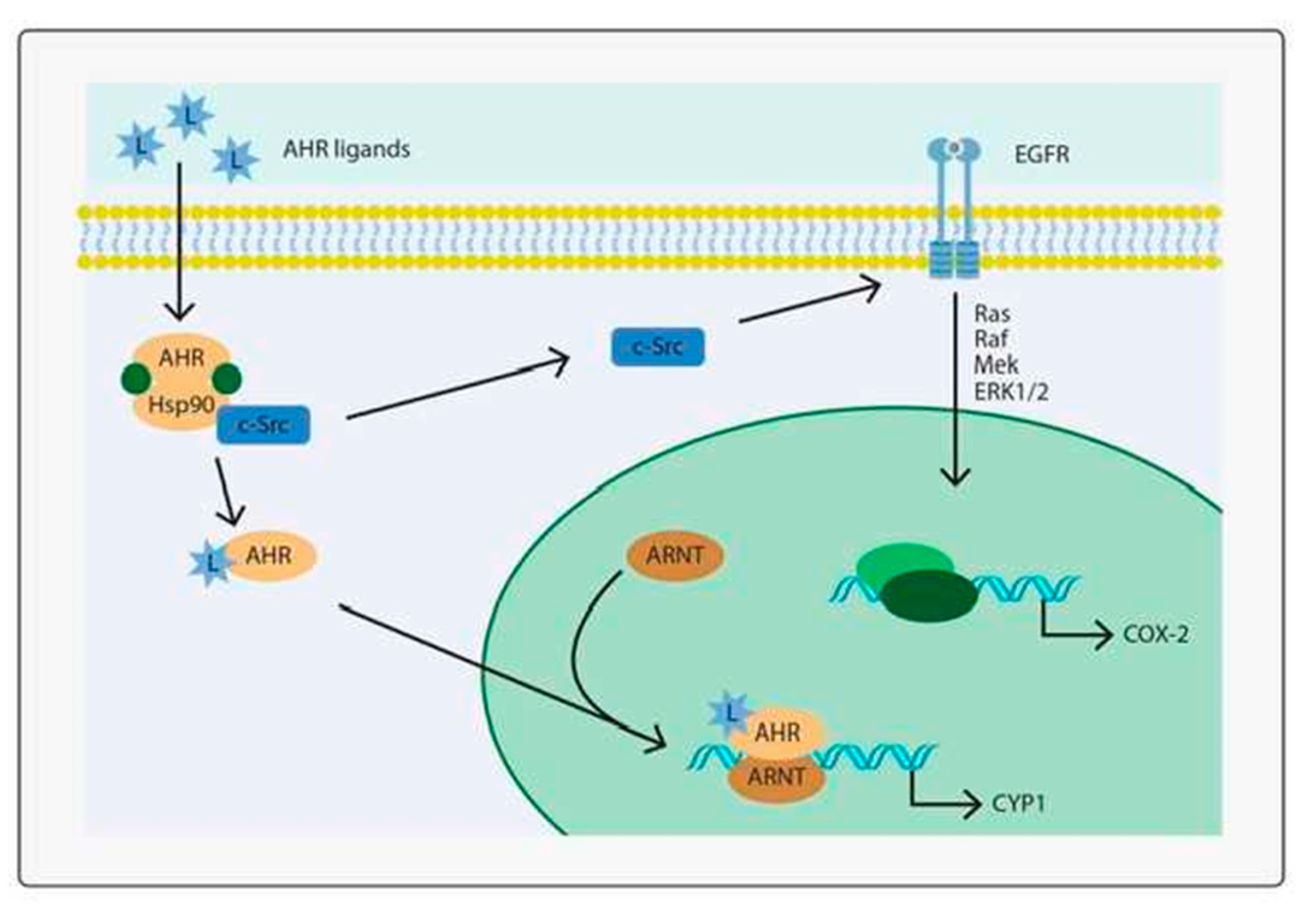 Toxins 14 00274 g003