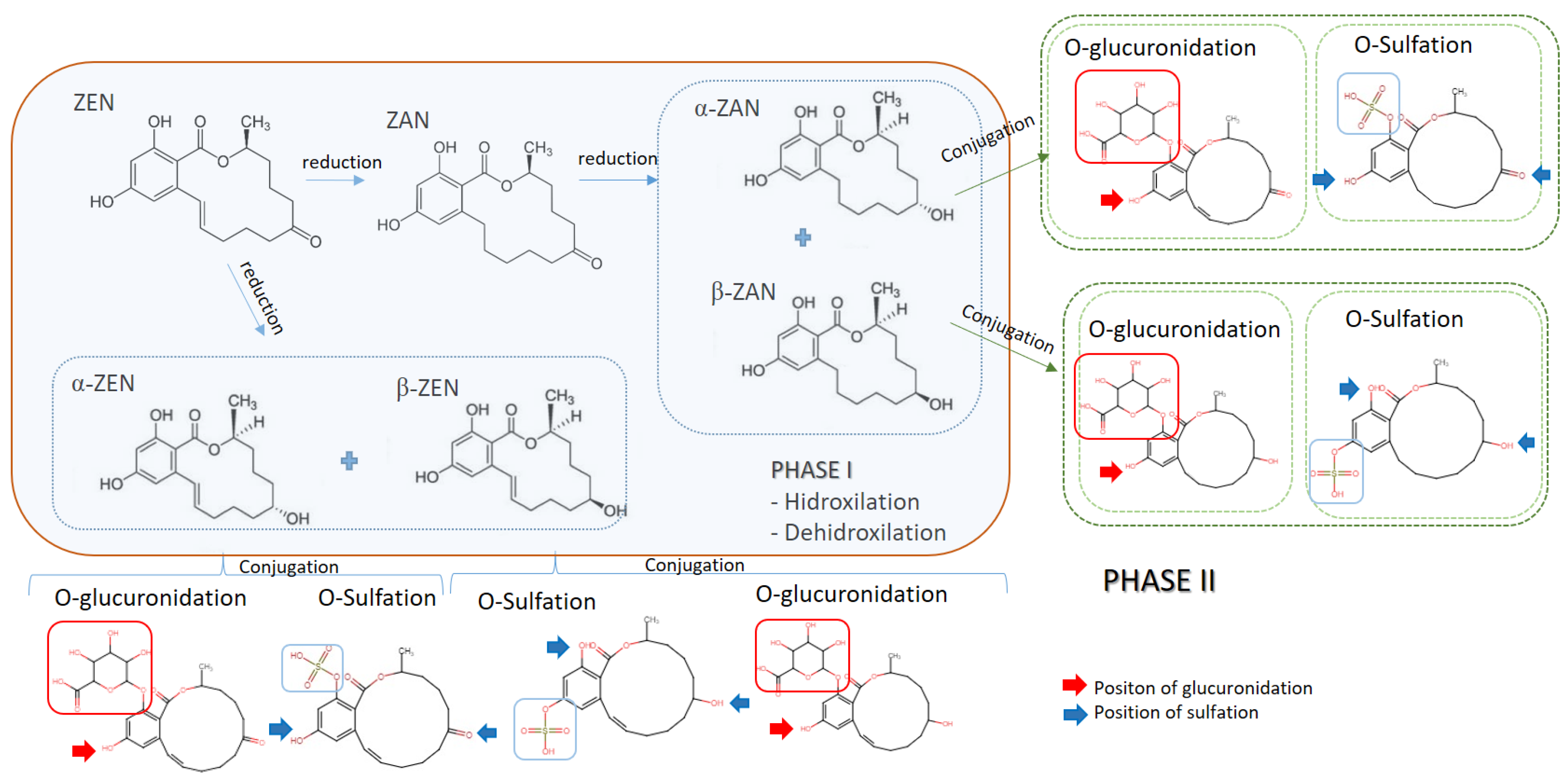 Toxins 14 00291 g002 550