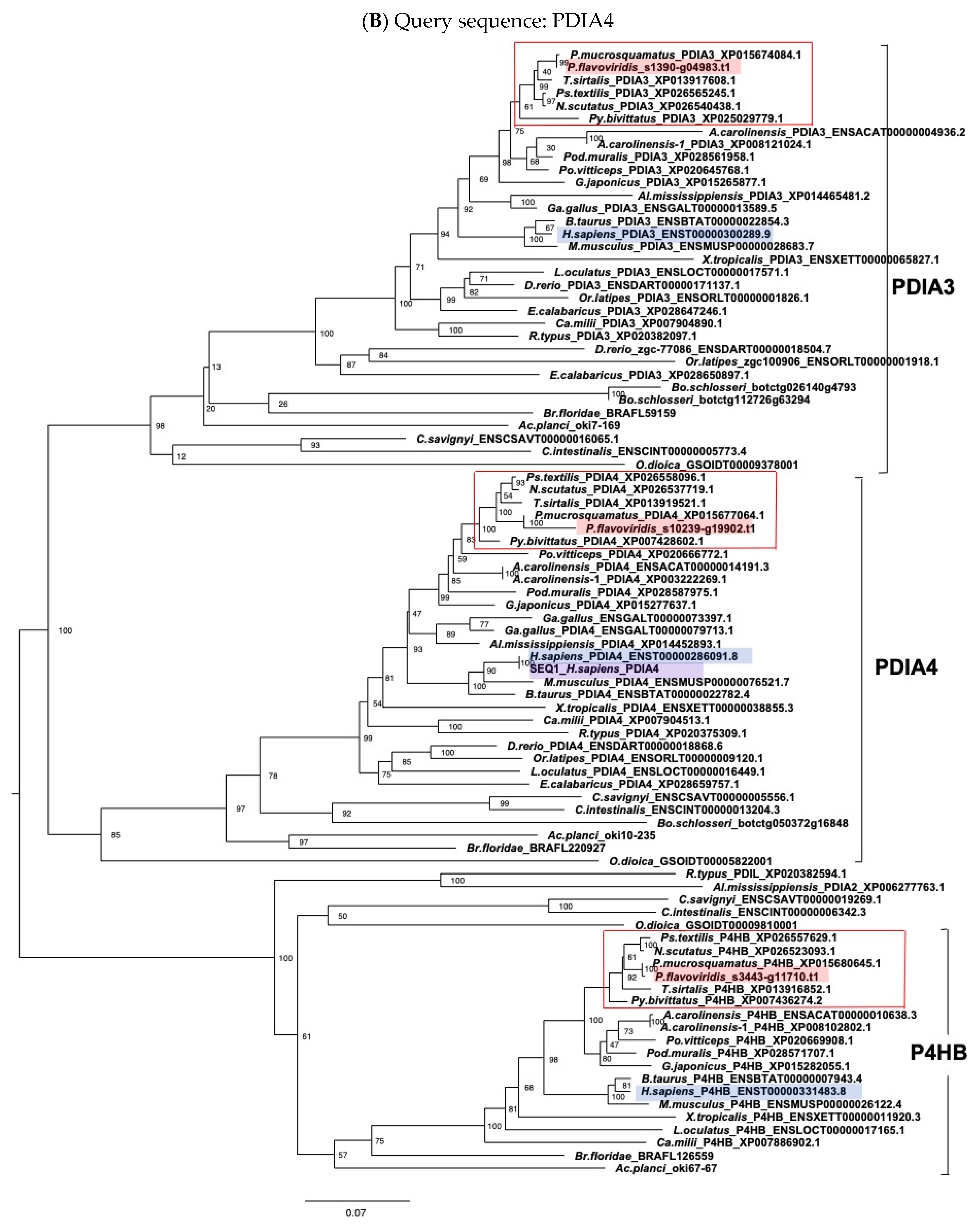 Toxins 14 00300 g003b