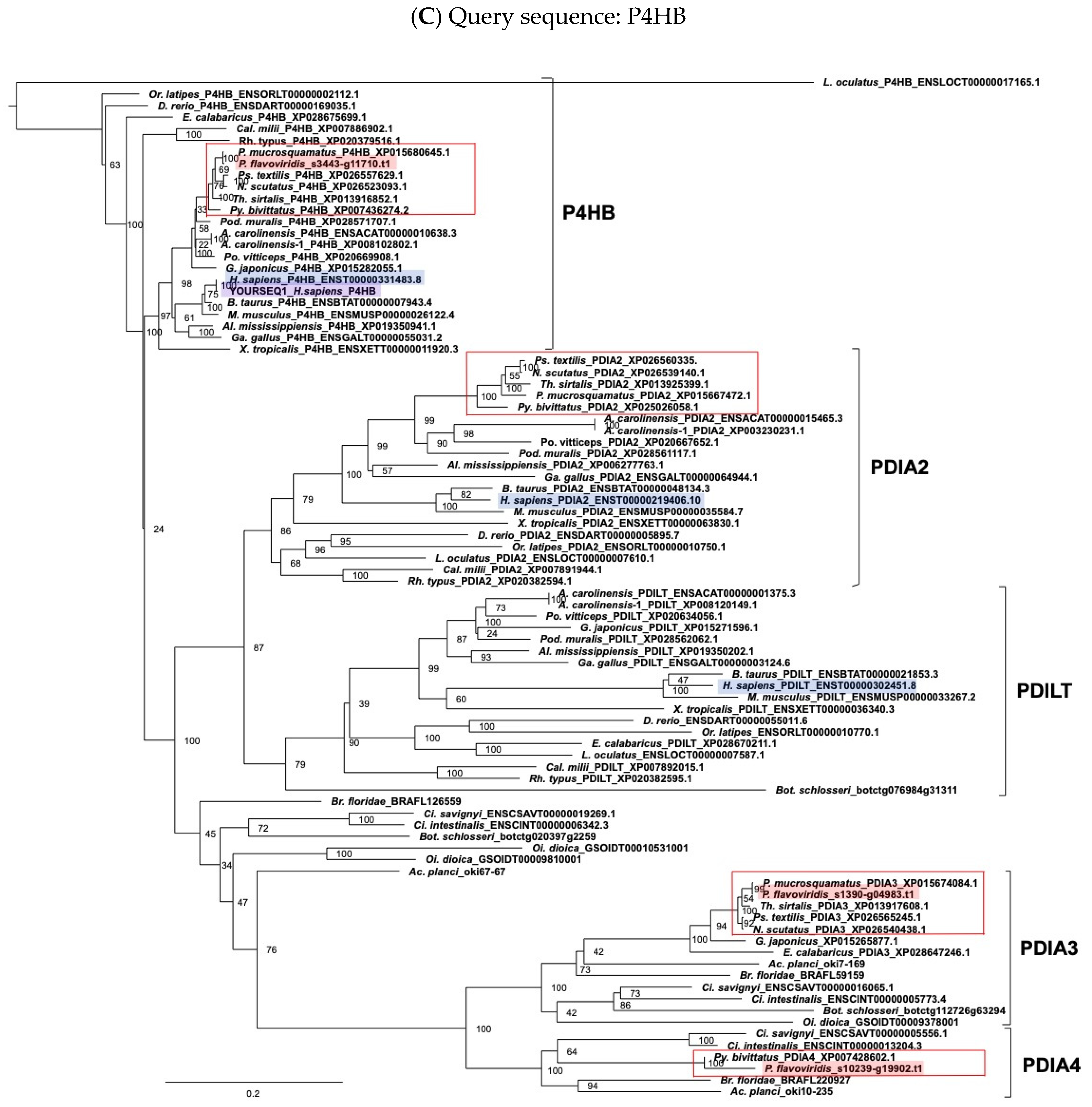 Toxins 14 00300 g003c