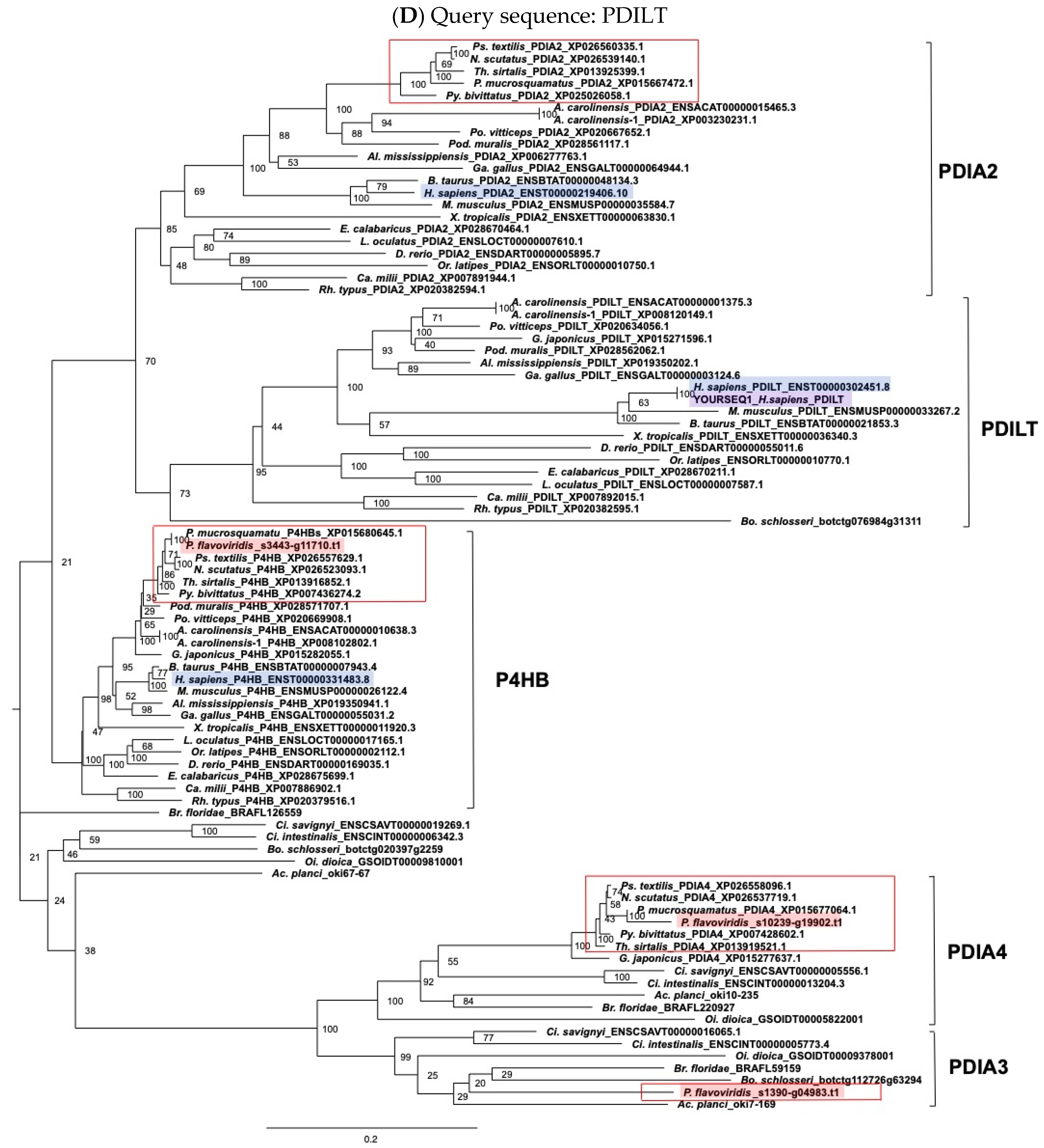 Toxins 14 00300 g003d