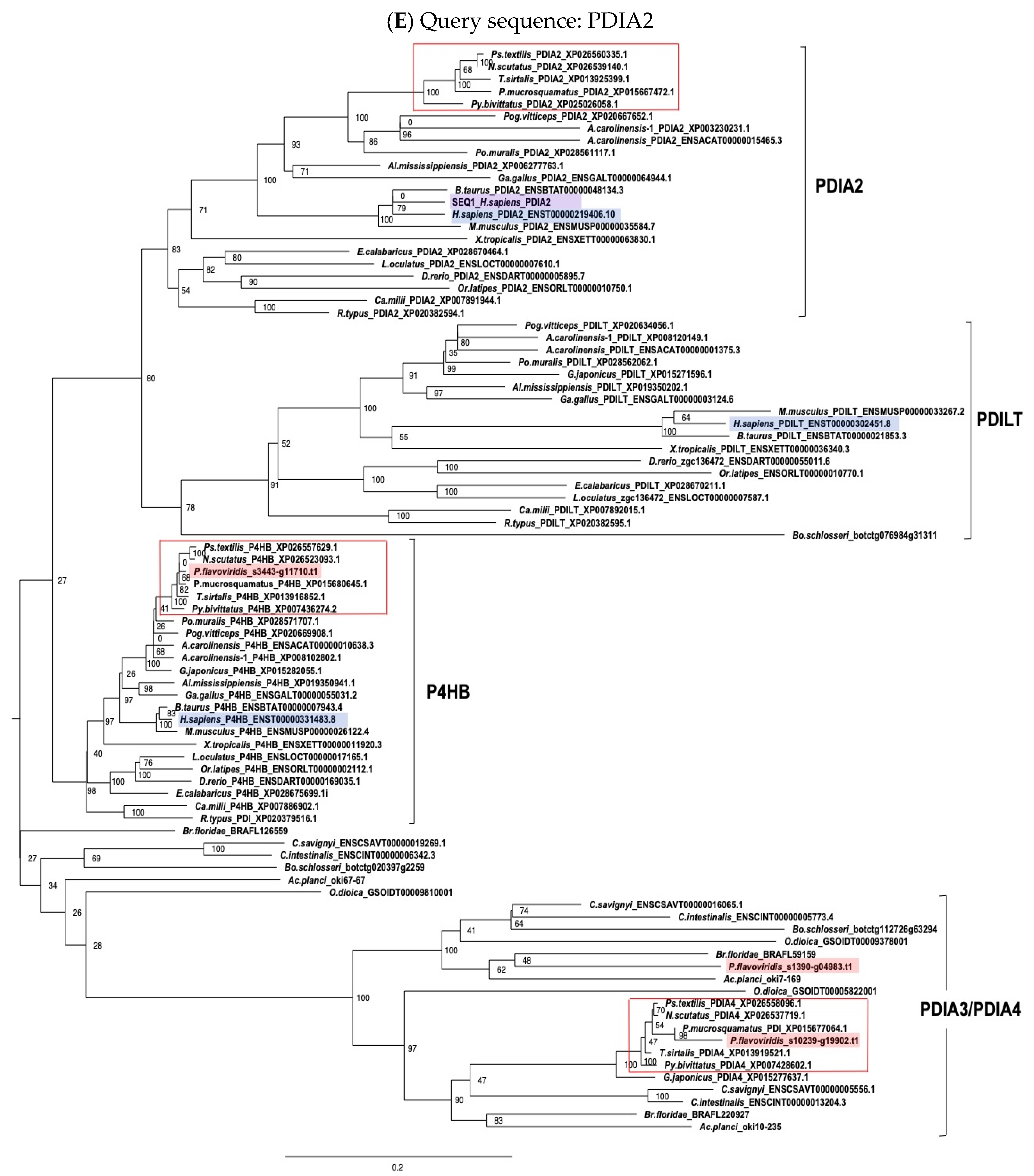 Toxins 14 00300 g003e