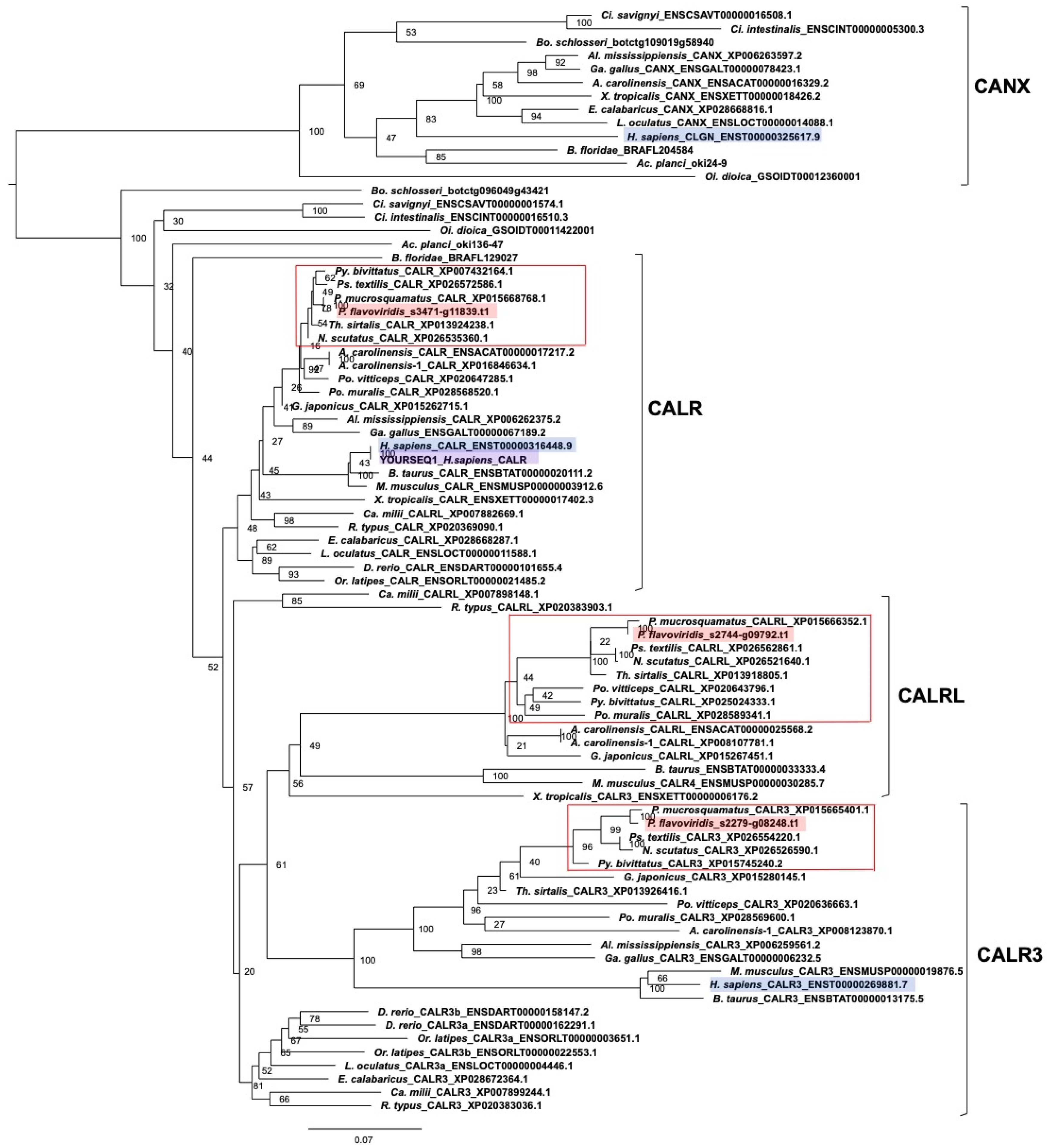 Toxins 14 00300 g004