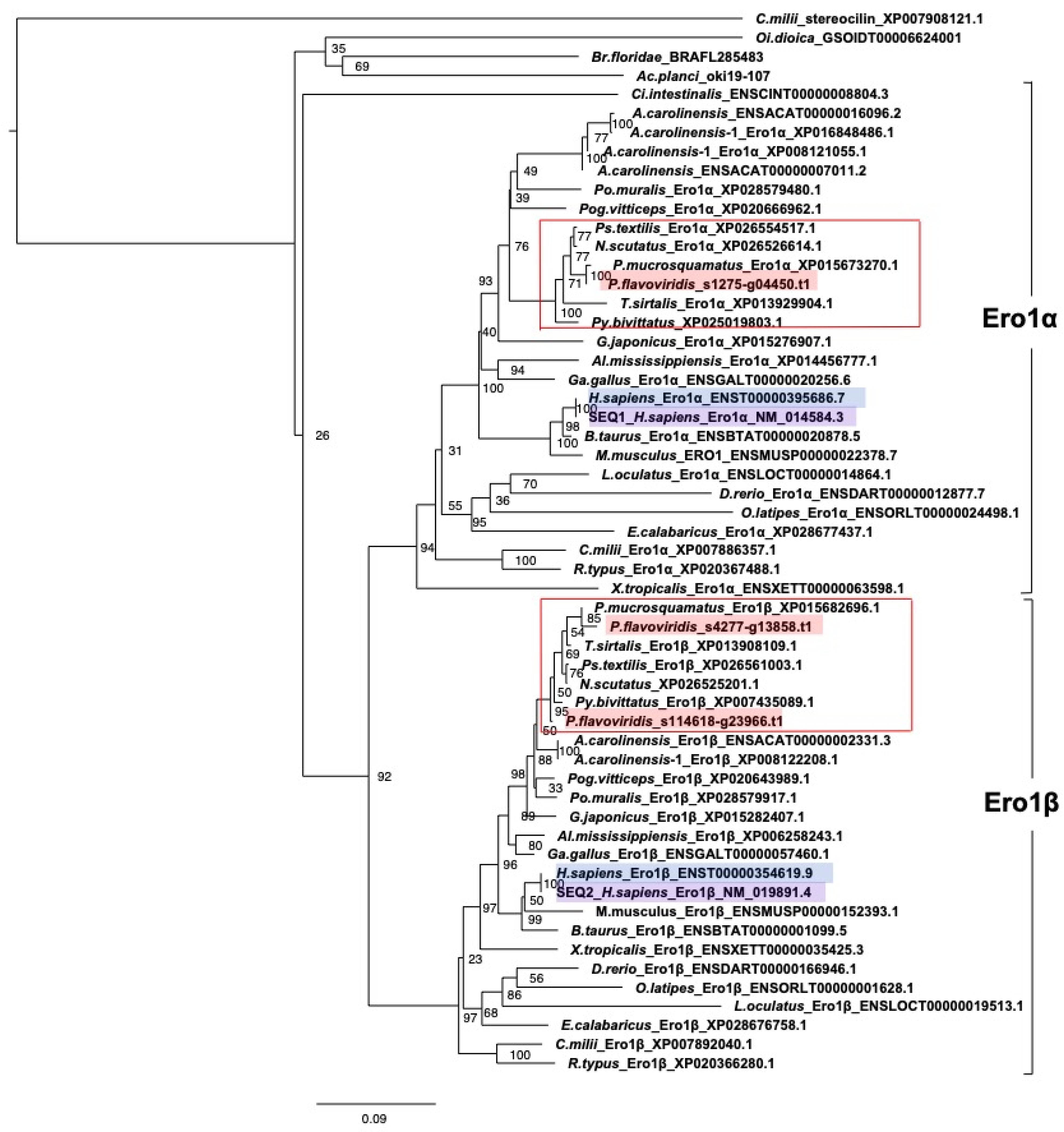 Toxins 14 00300 g006