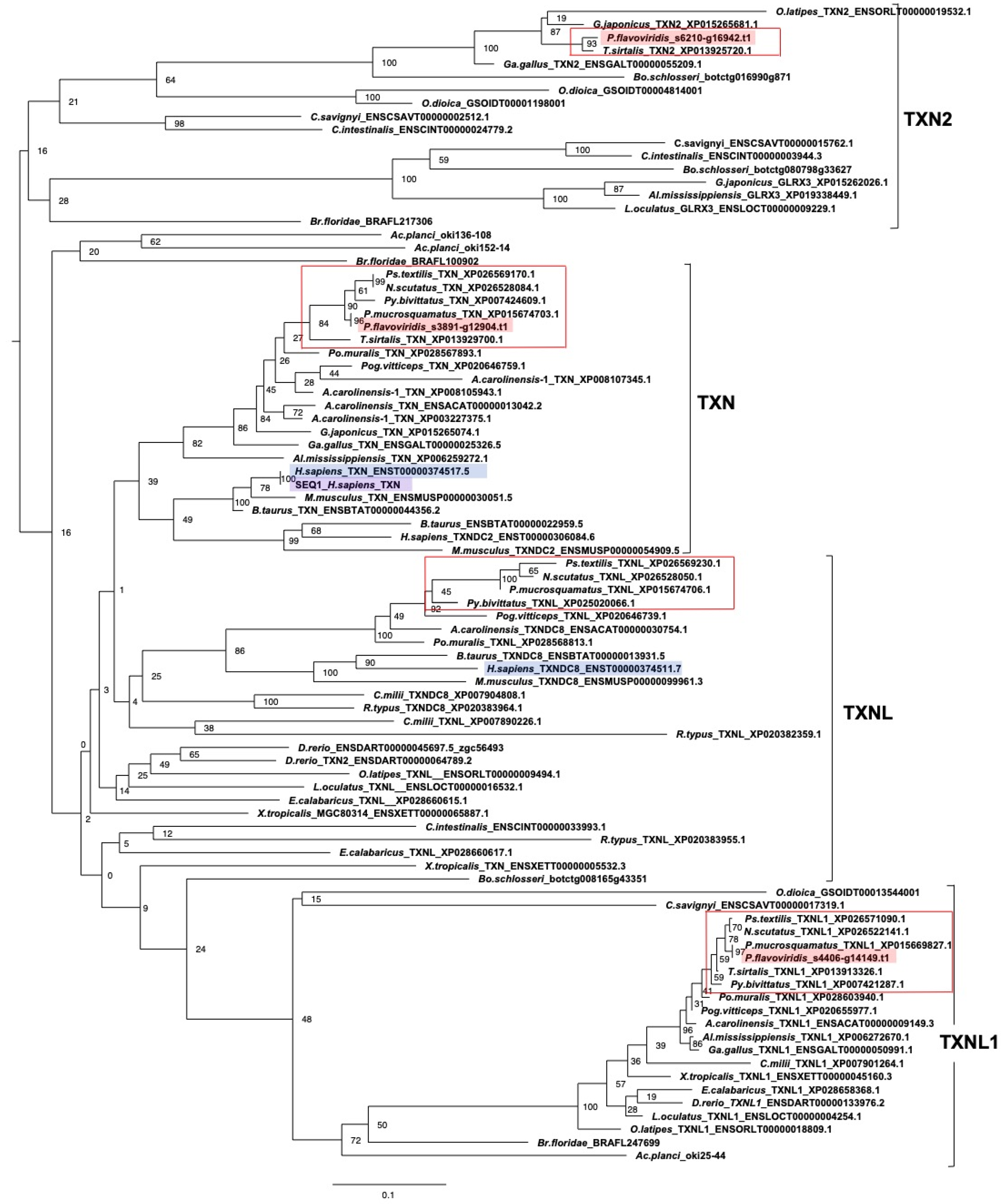 Toxins 14 00300 g007