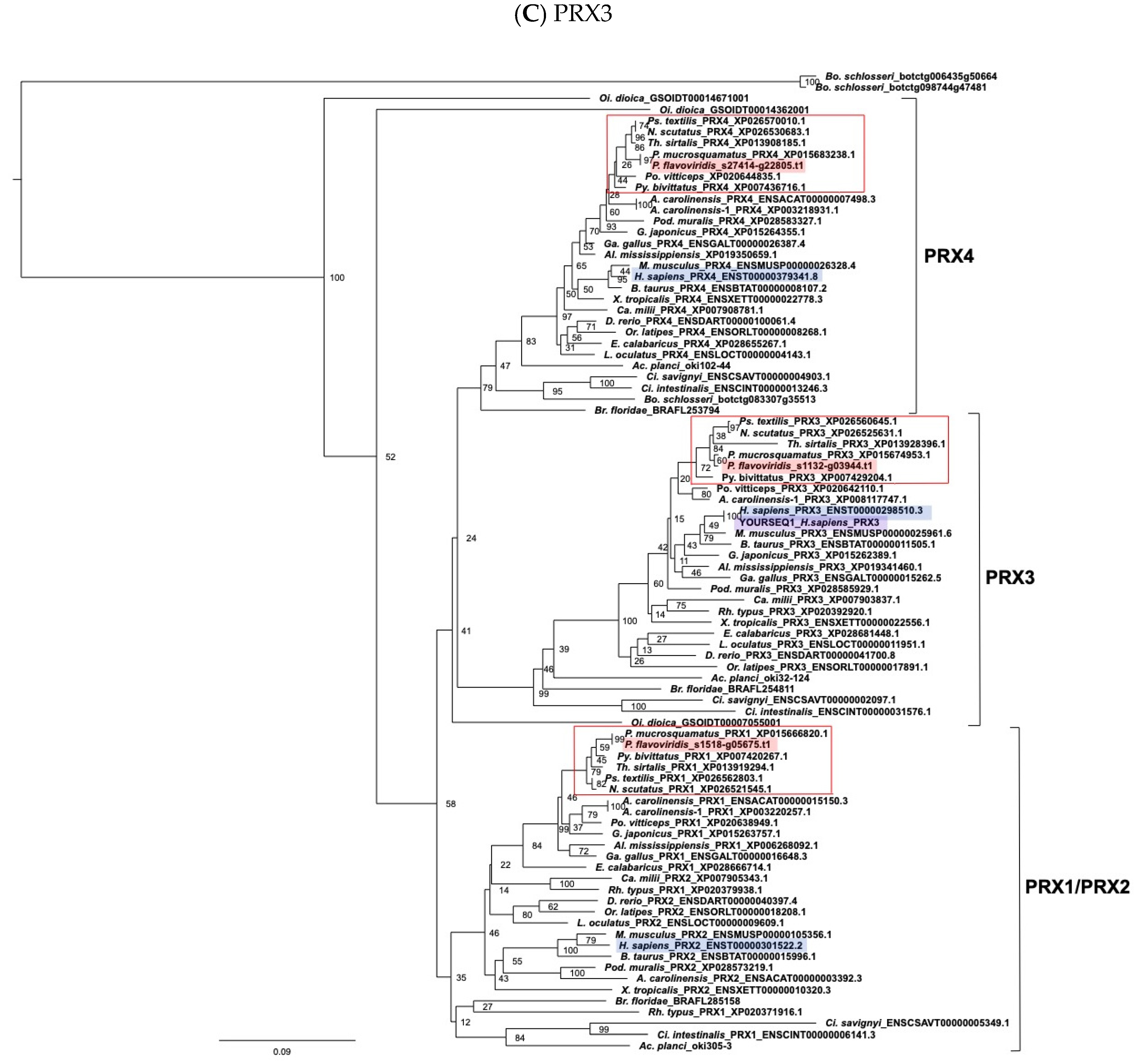 Toxins 14 00300 g008c