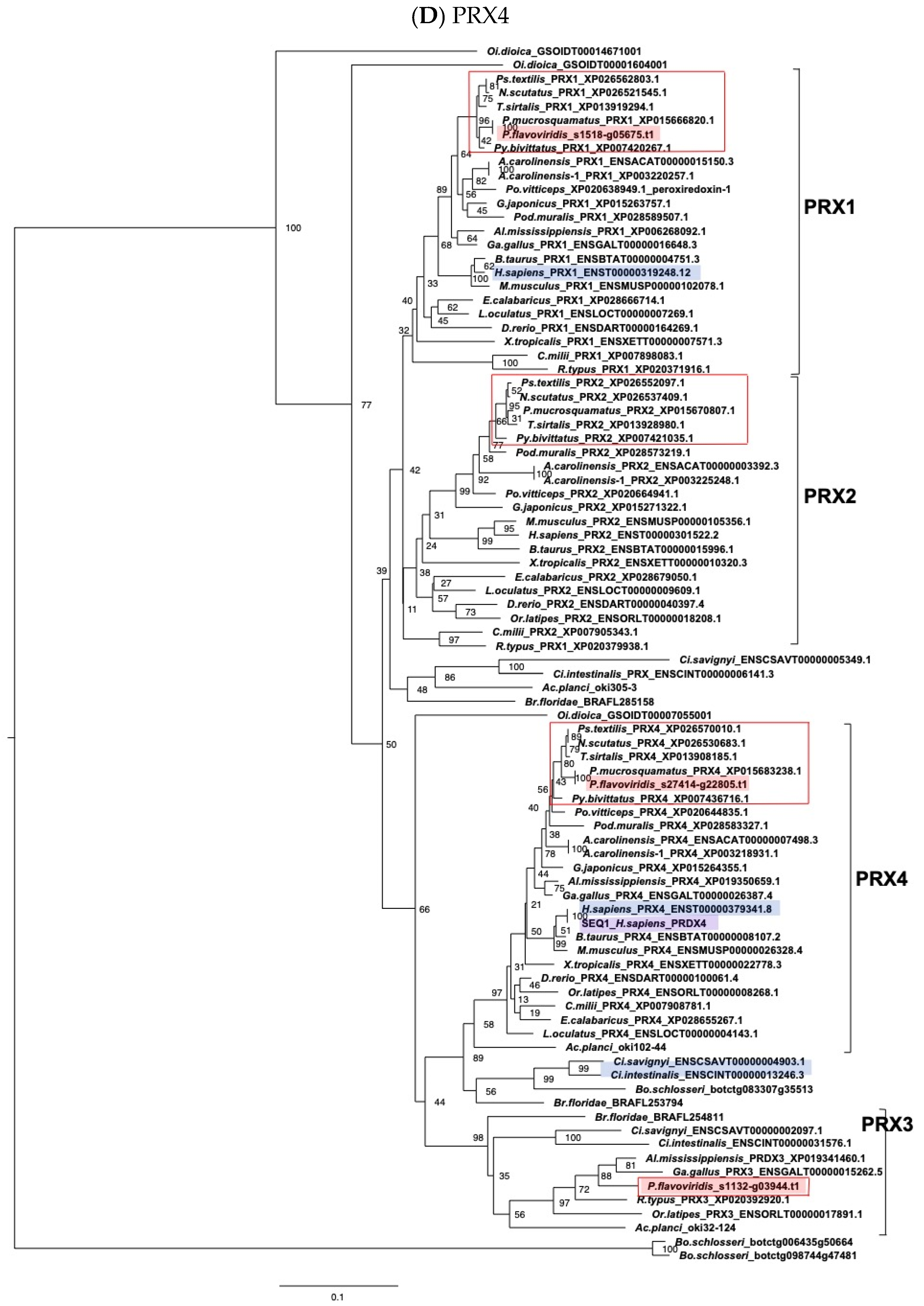 Toxins 14 00300 g008d