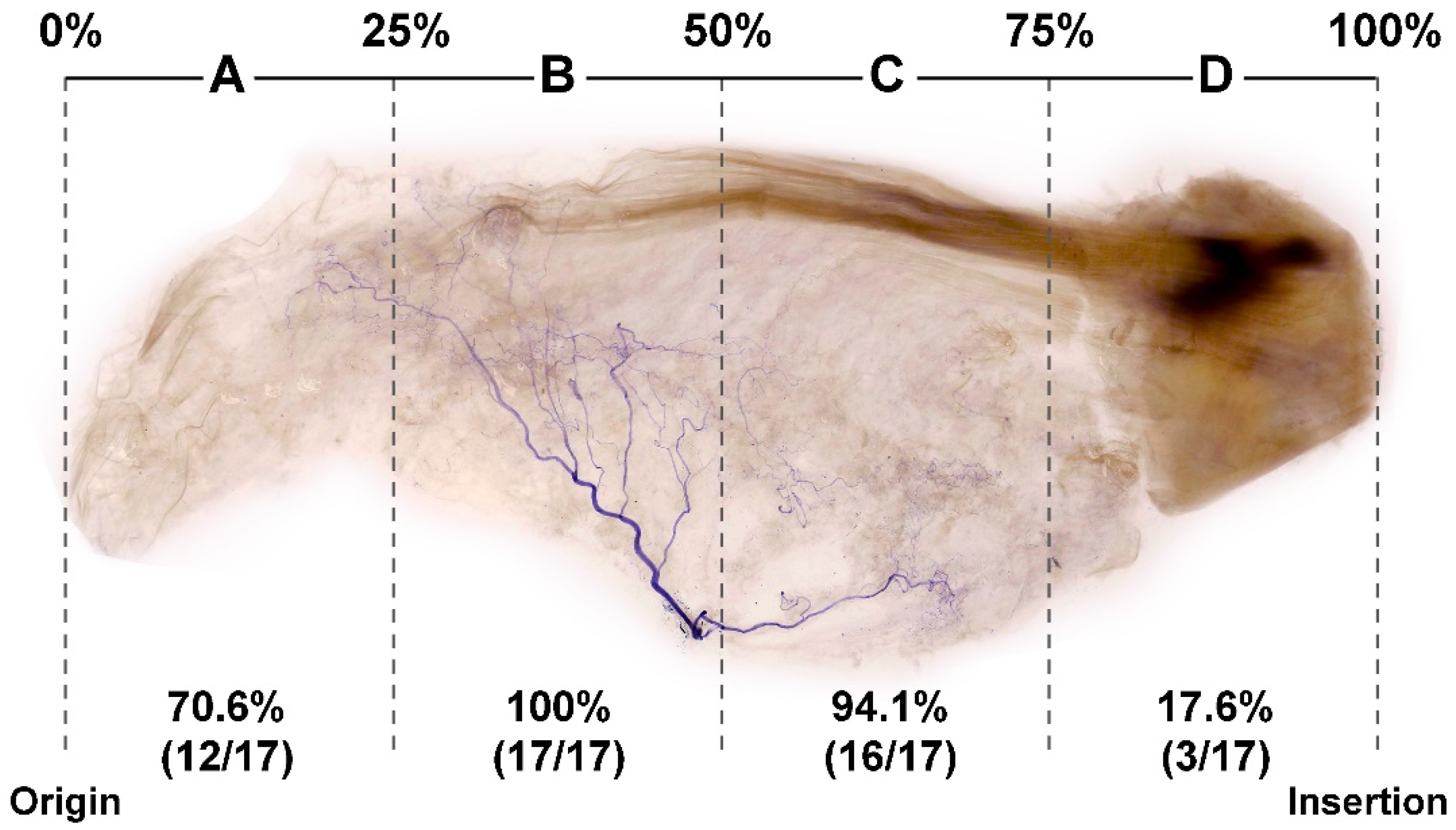 Toxins 14 00310 g002a