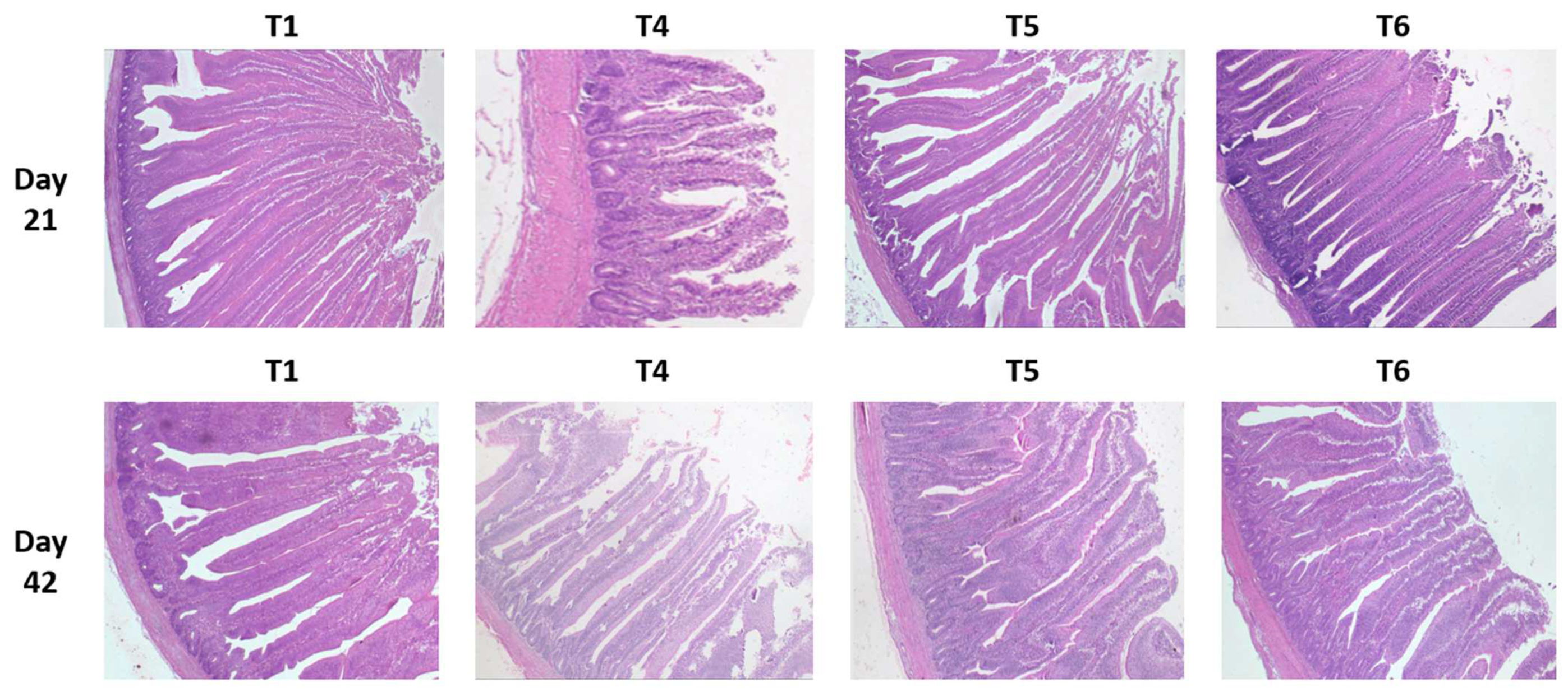 Toxins 14 00315 g003 550