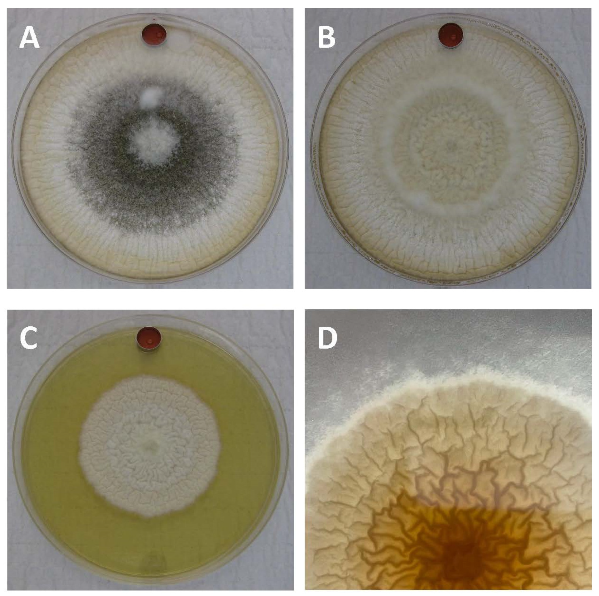 Toxins 14 00340 g001